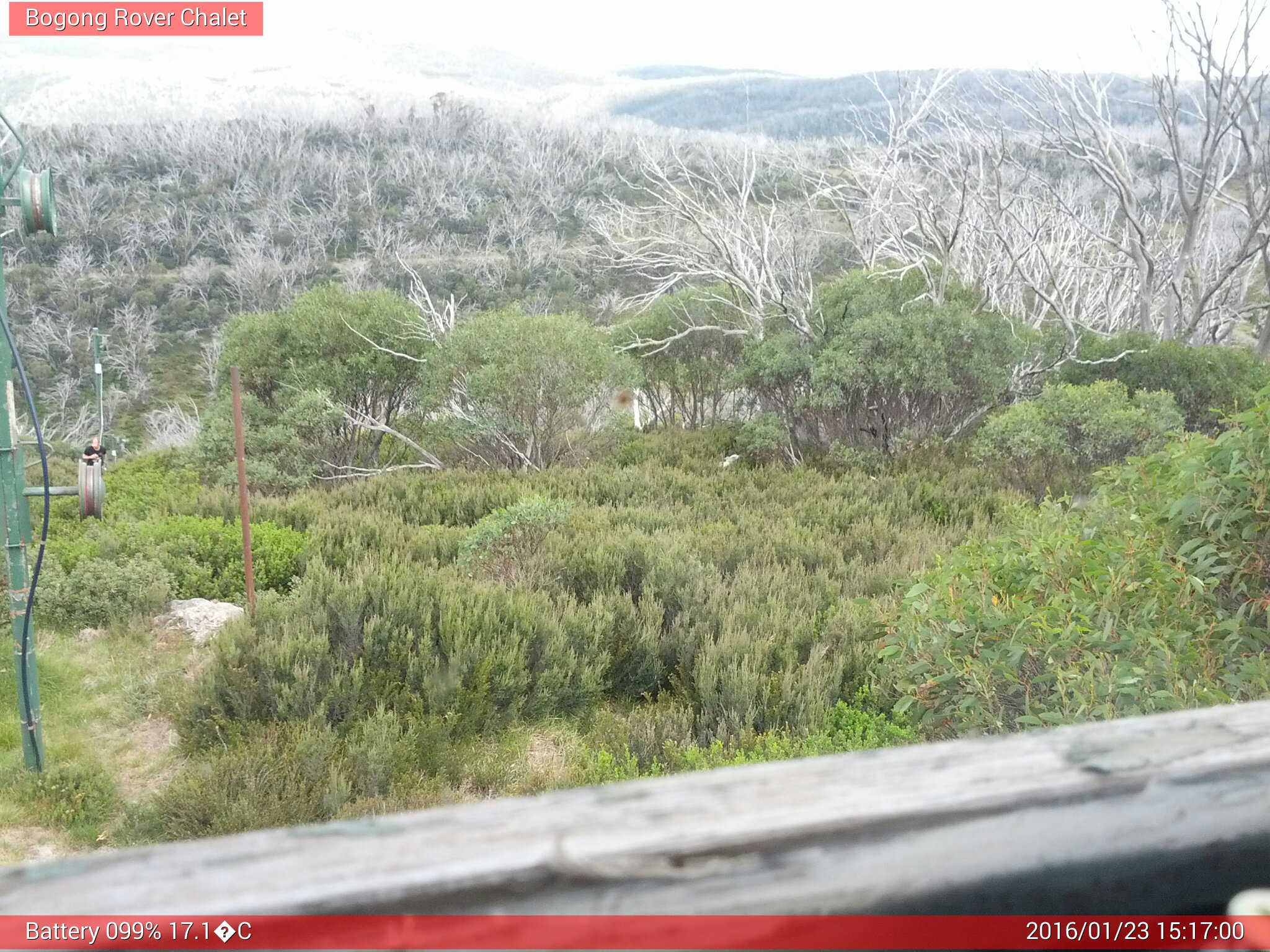 Bogong Web Cam 3:16pm Saturday 23rd of January 2016