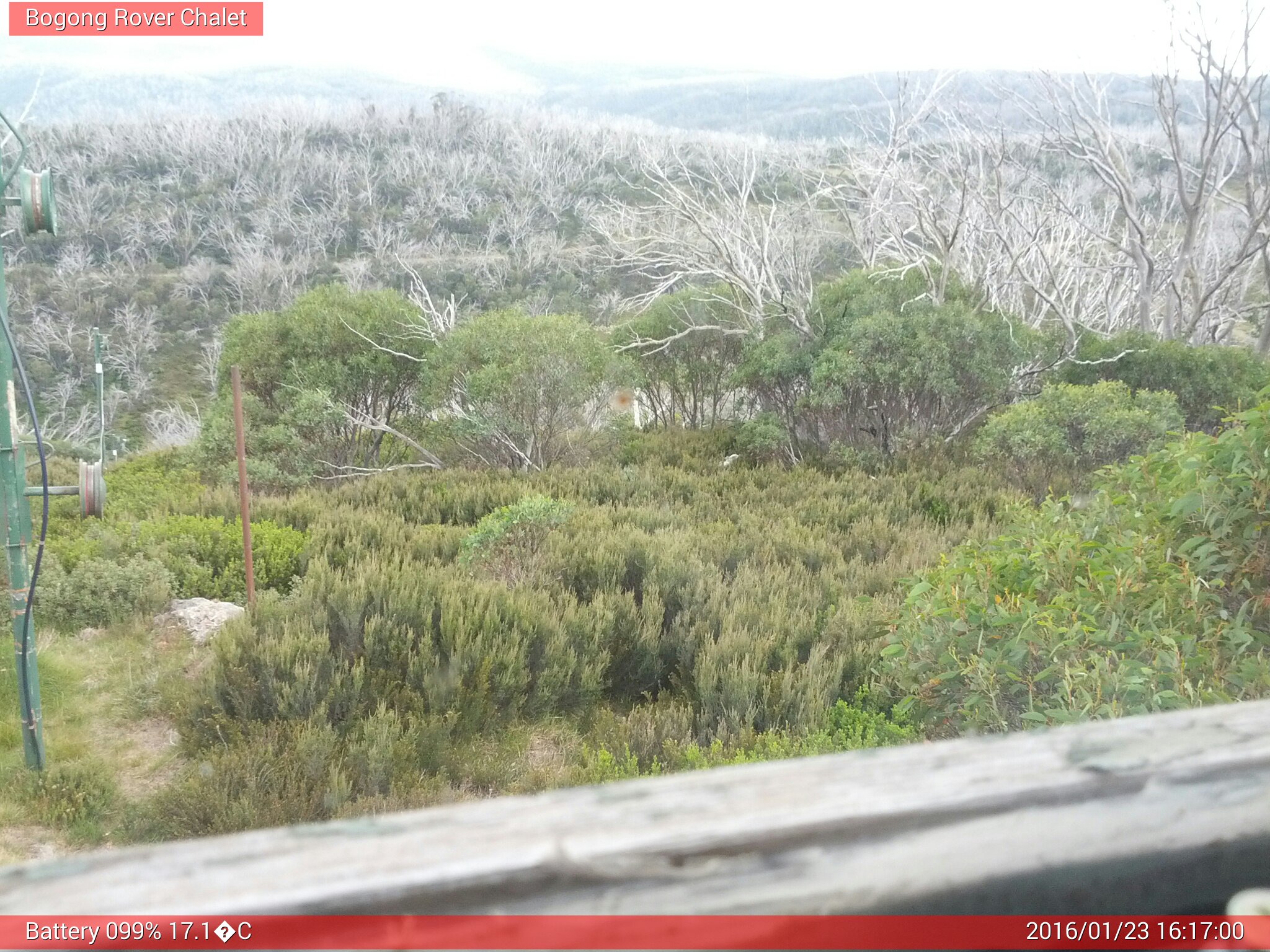 Bogong Web Cam 4:16pm Saturday 23rd of January 2016