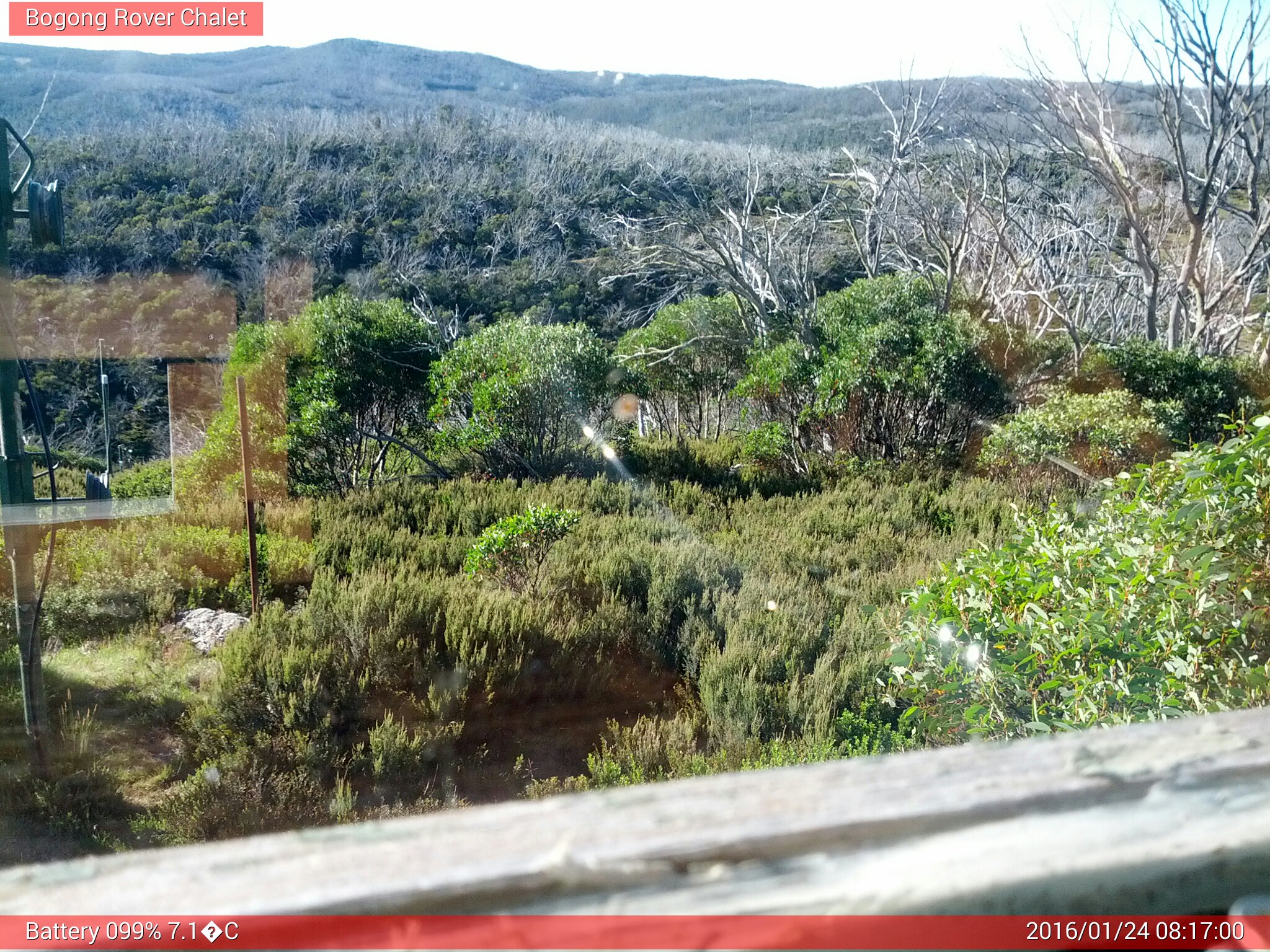 Bogong Web Cam 8:16am Sunday 24th of January 2016