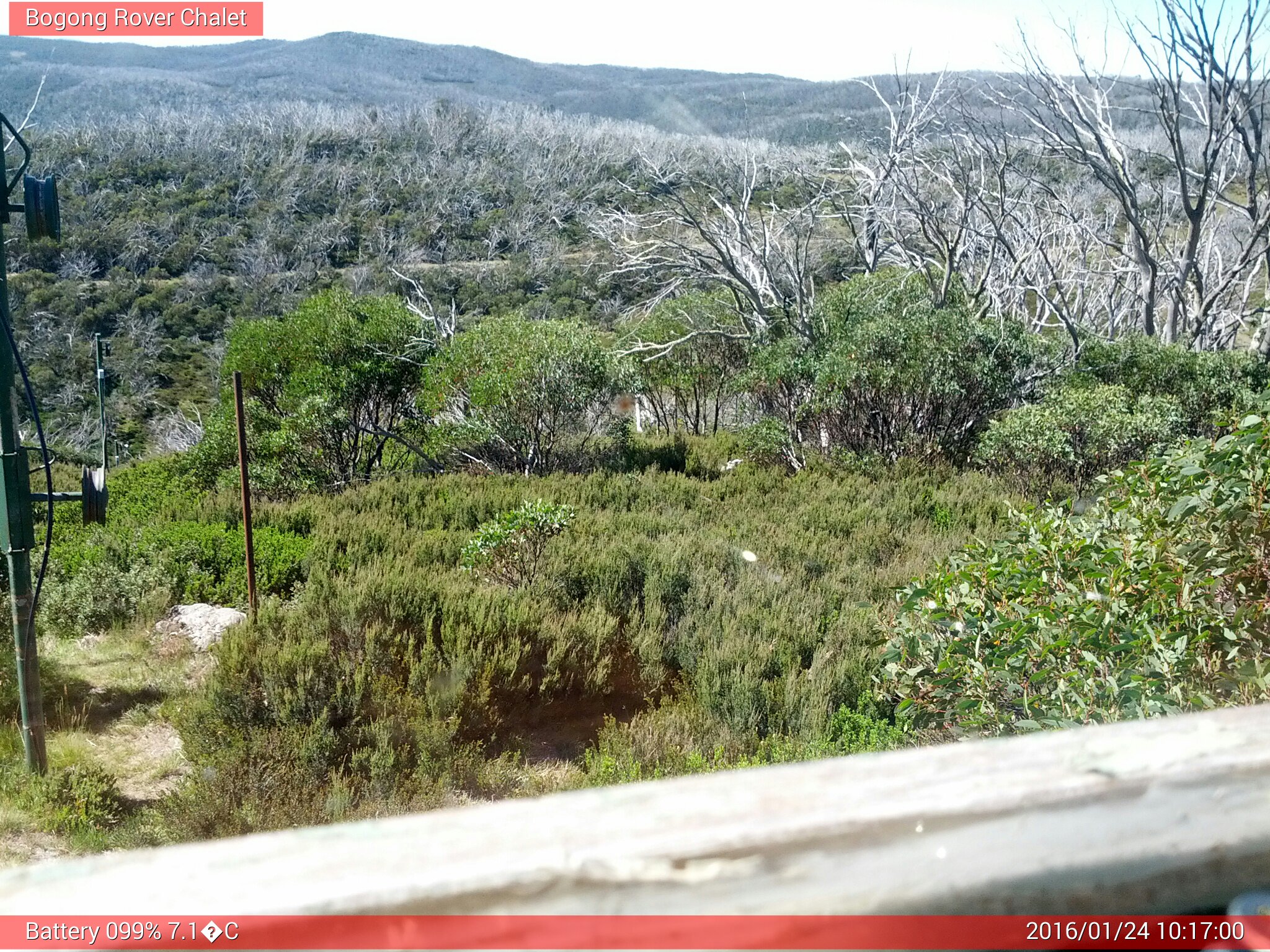 Bogong Web Cam 10:16am Sunday 24th of January 2016