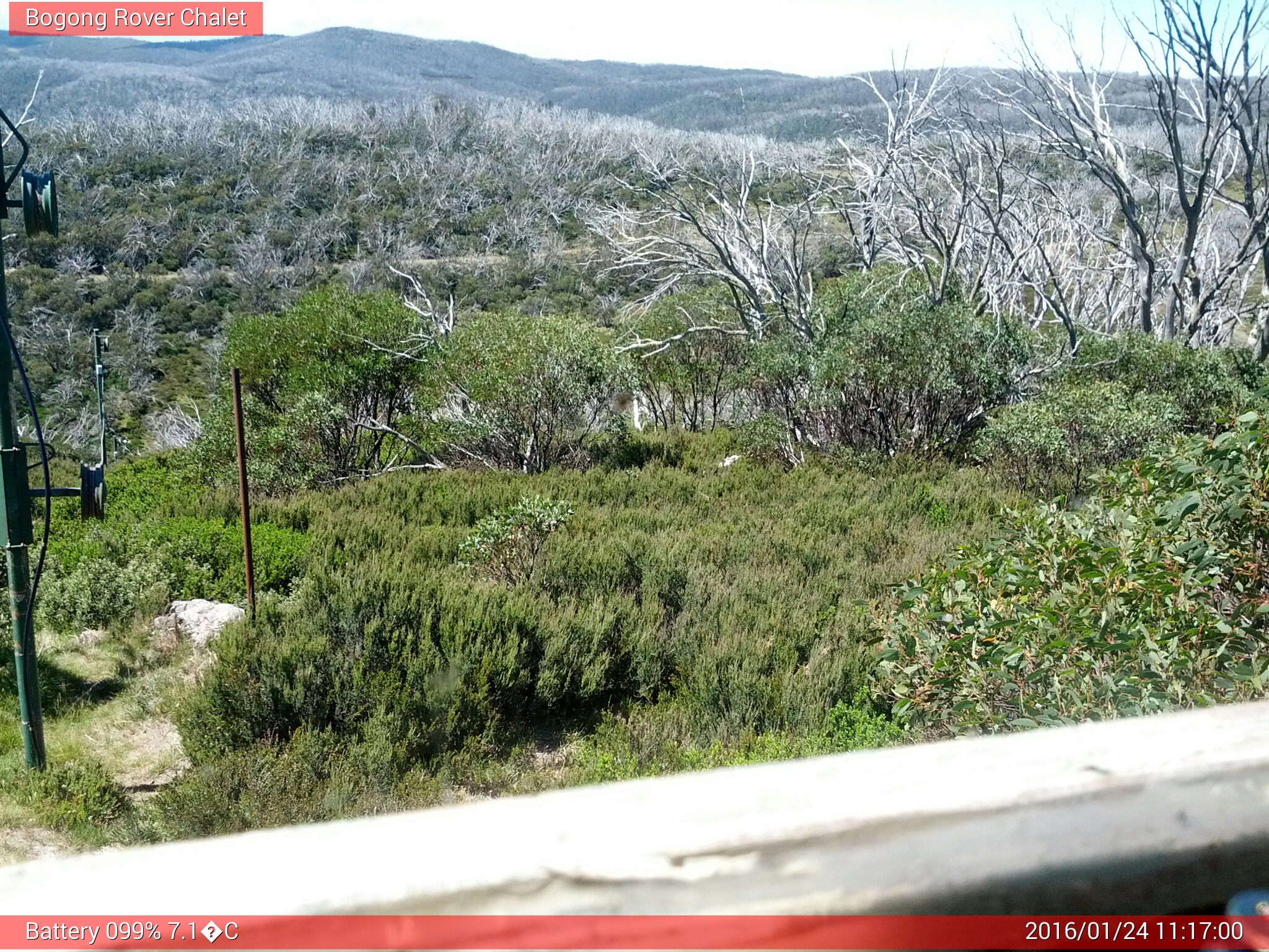 Bogong Web Cam 11:16am Sunday 24th of January 2016