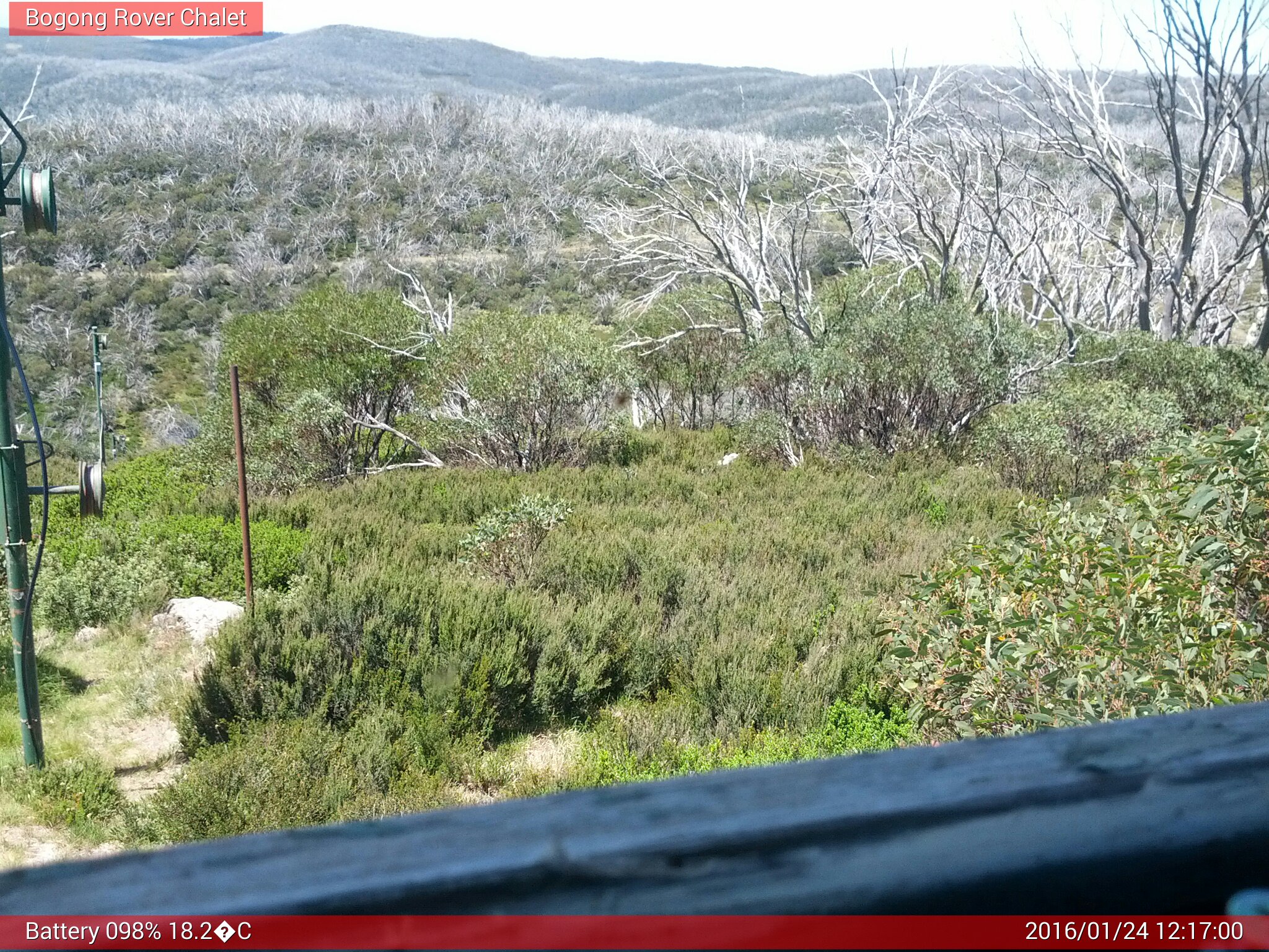 Bogong Web Cam 12:16pm Sunday 24th of January 2016