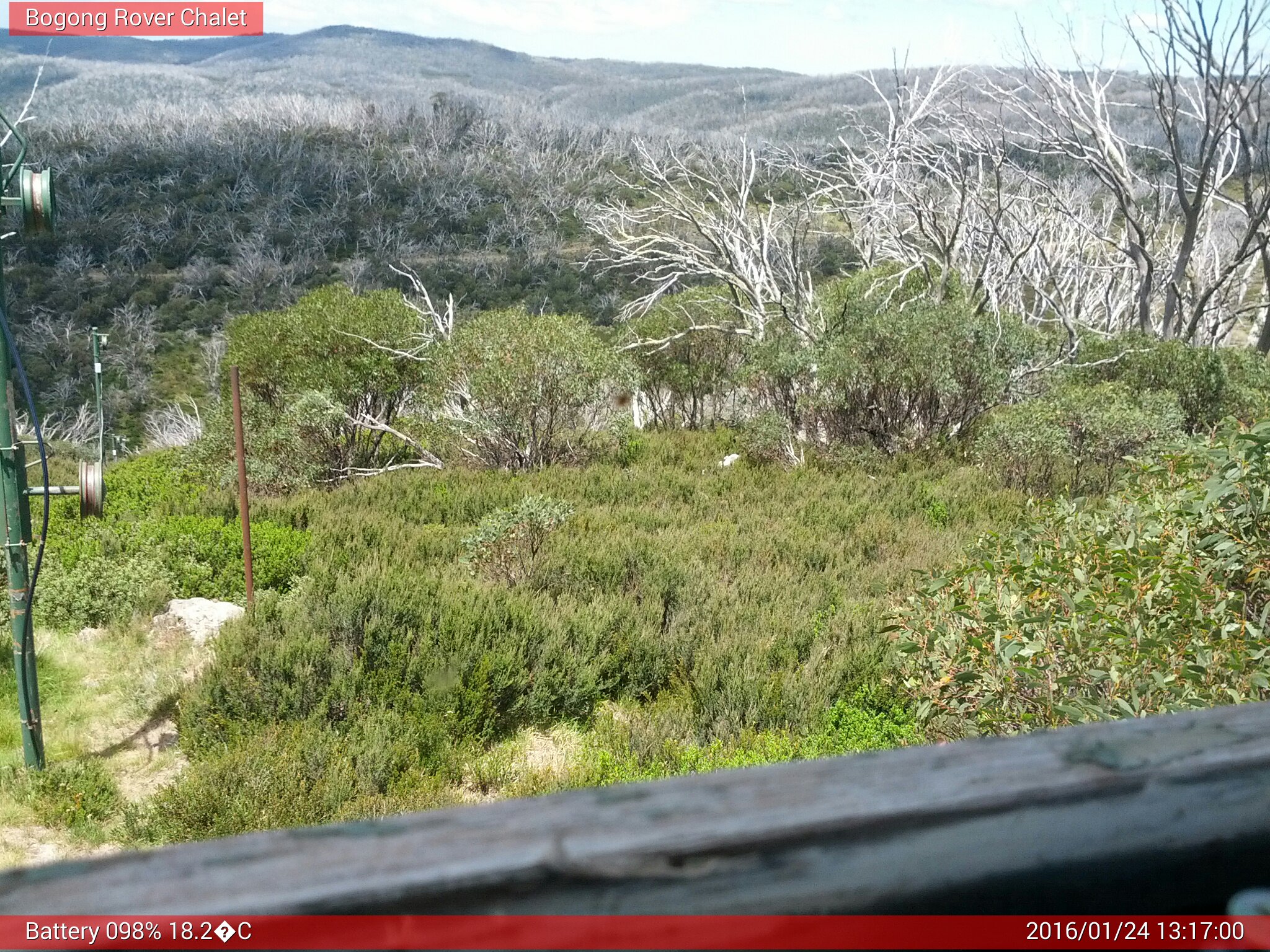 Bogong Web Cam 1:16pm Sunday 24th of January 2016