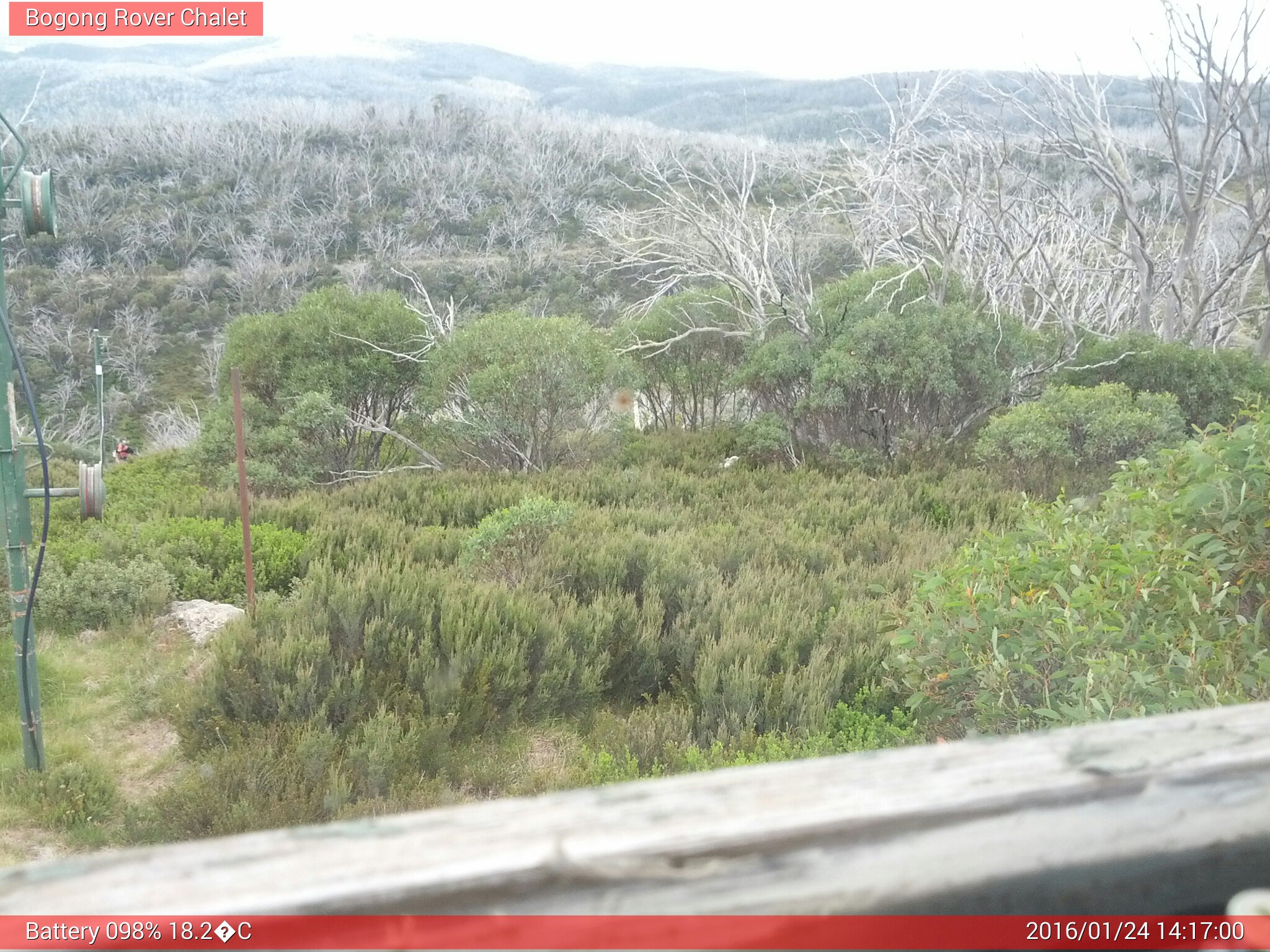 Bogong Web Cam 2:16pm Sunday 24th of January 2016