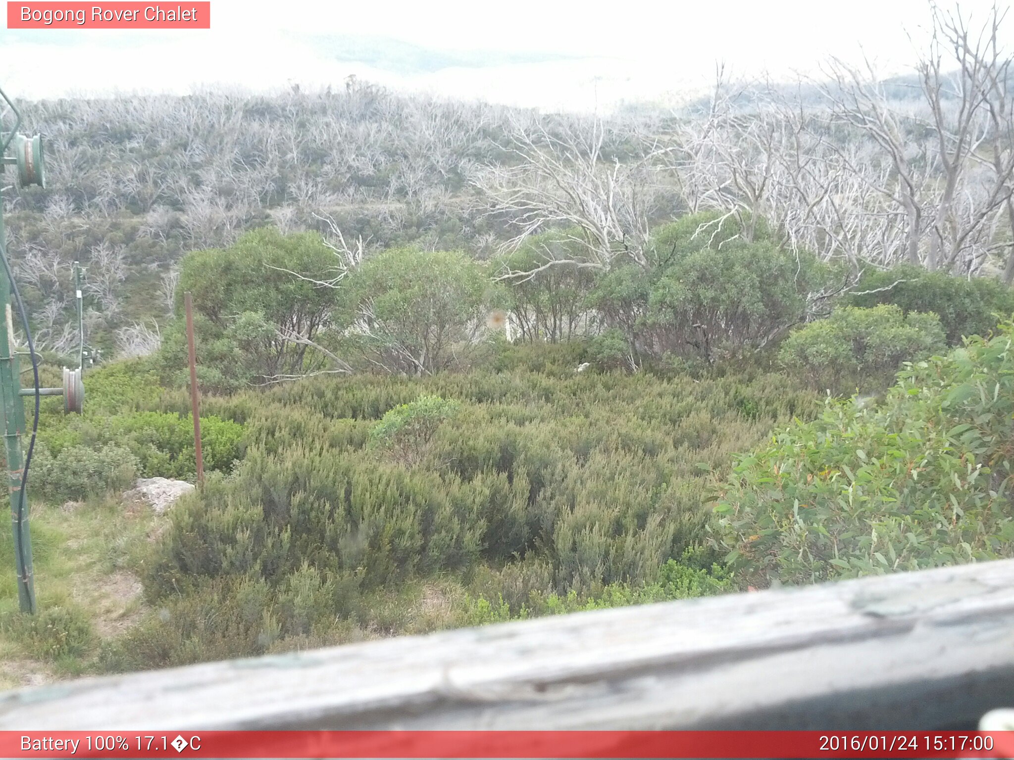 Bogong Web Cam 3:16pm Sunday 24th of January 2016