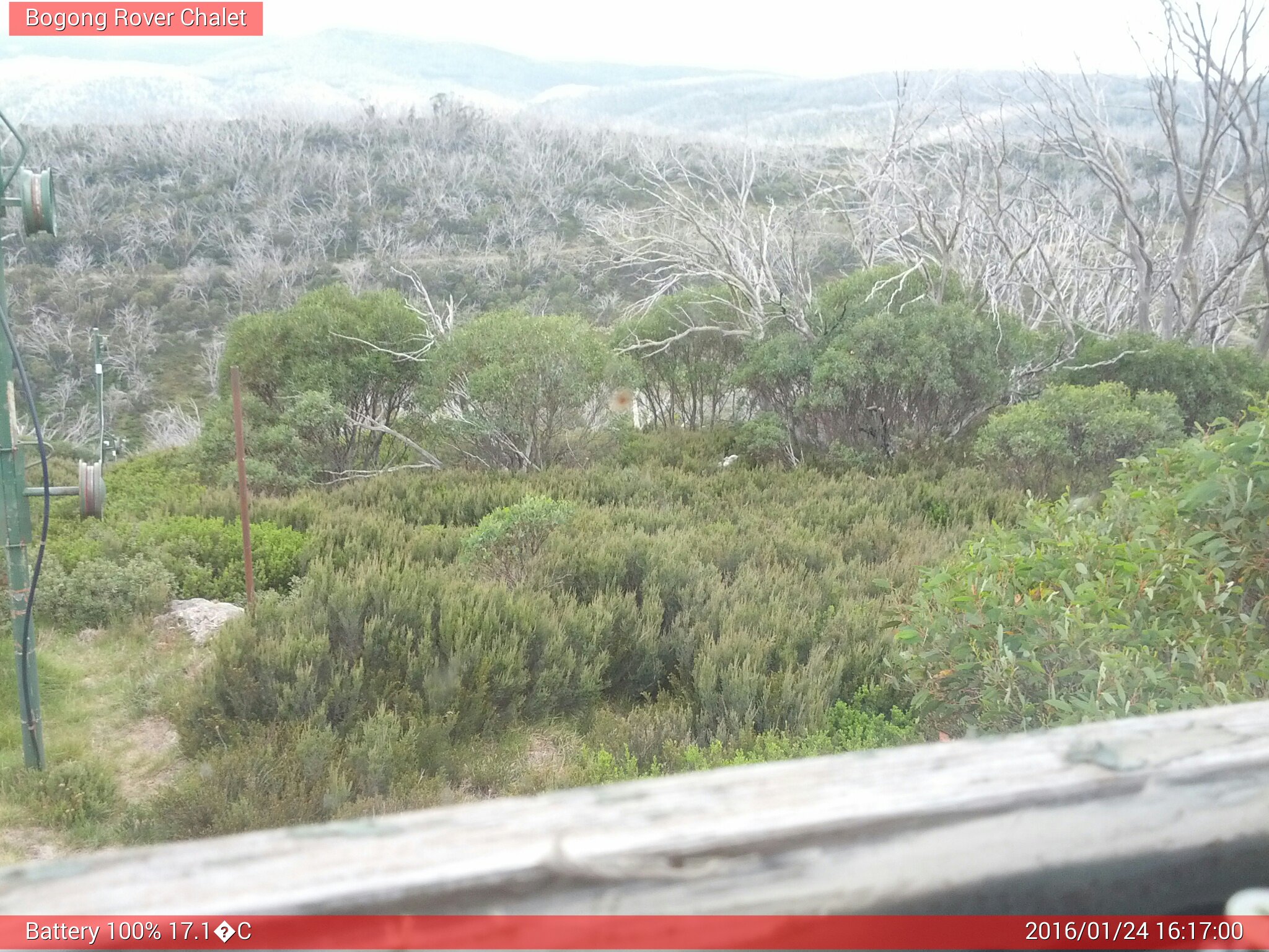 Bogong Web Cam 4:17pm Sunday 24th of January 2016