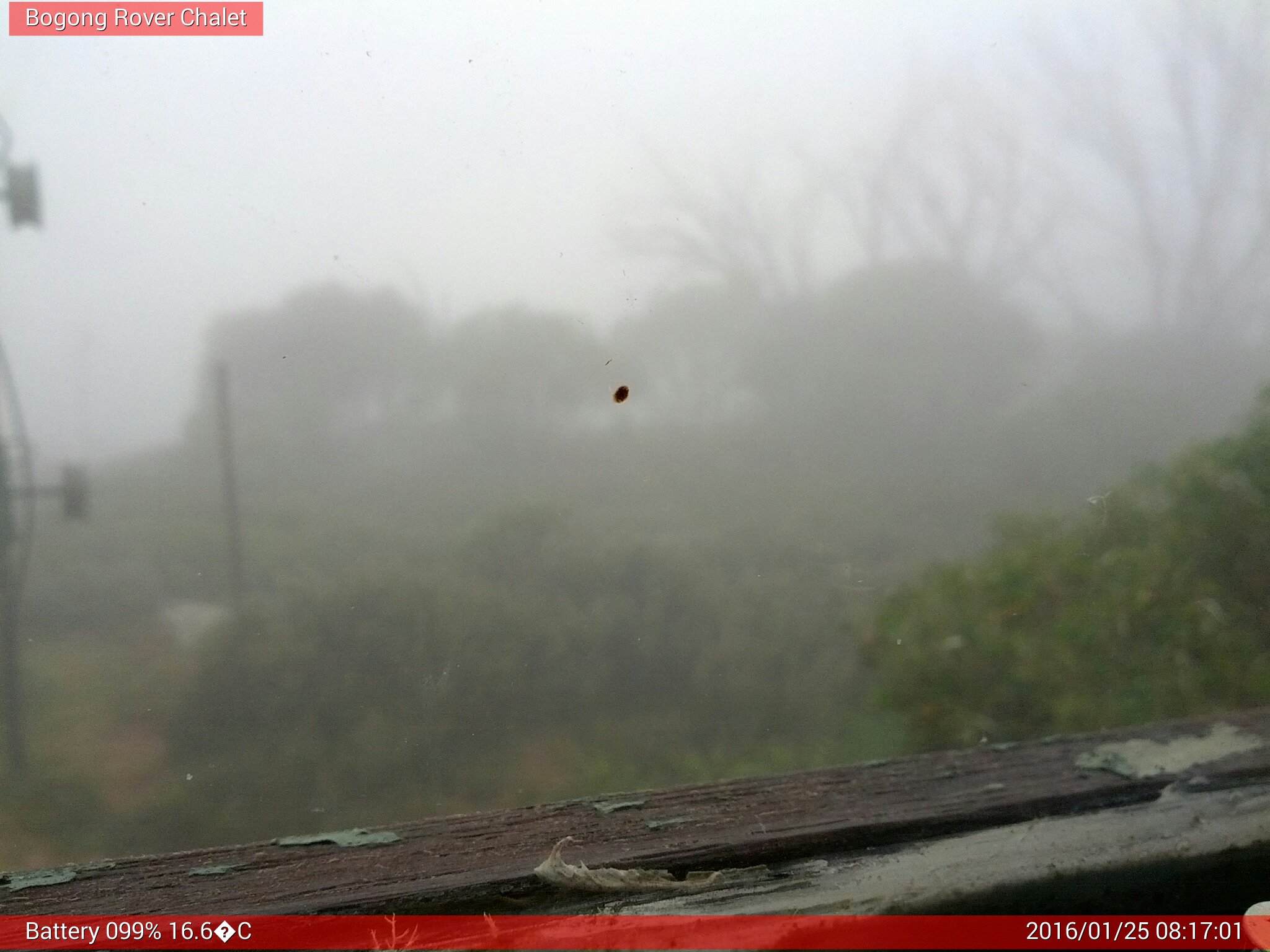 Bogong Web Cam 8:17am Monday 25th of January 2016