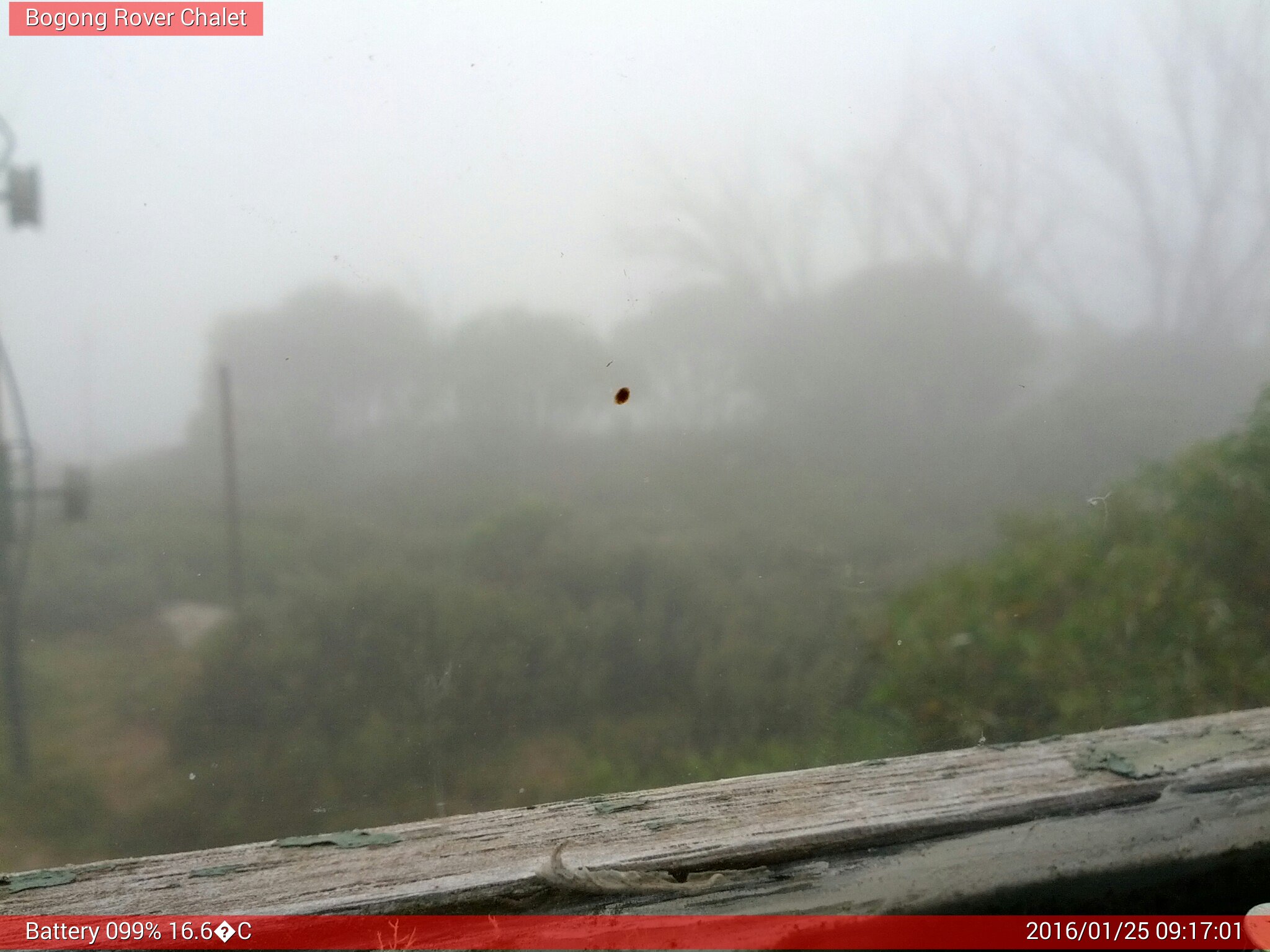 Bogong Web Cam 9:17am Monday 25th of January 2016