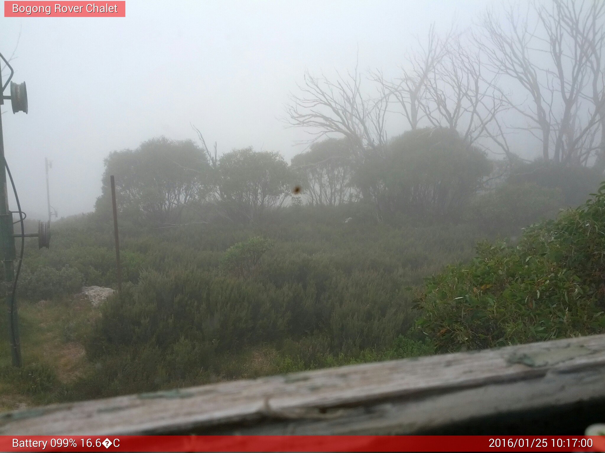 Bogong Web Cam 10:17am Monday 25th of January 2016