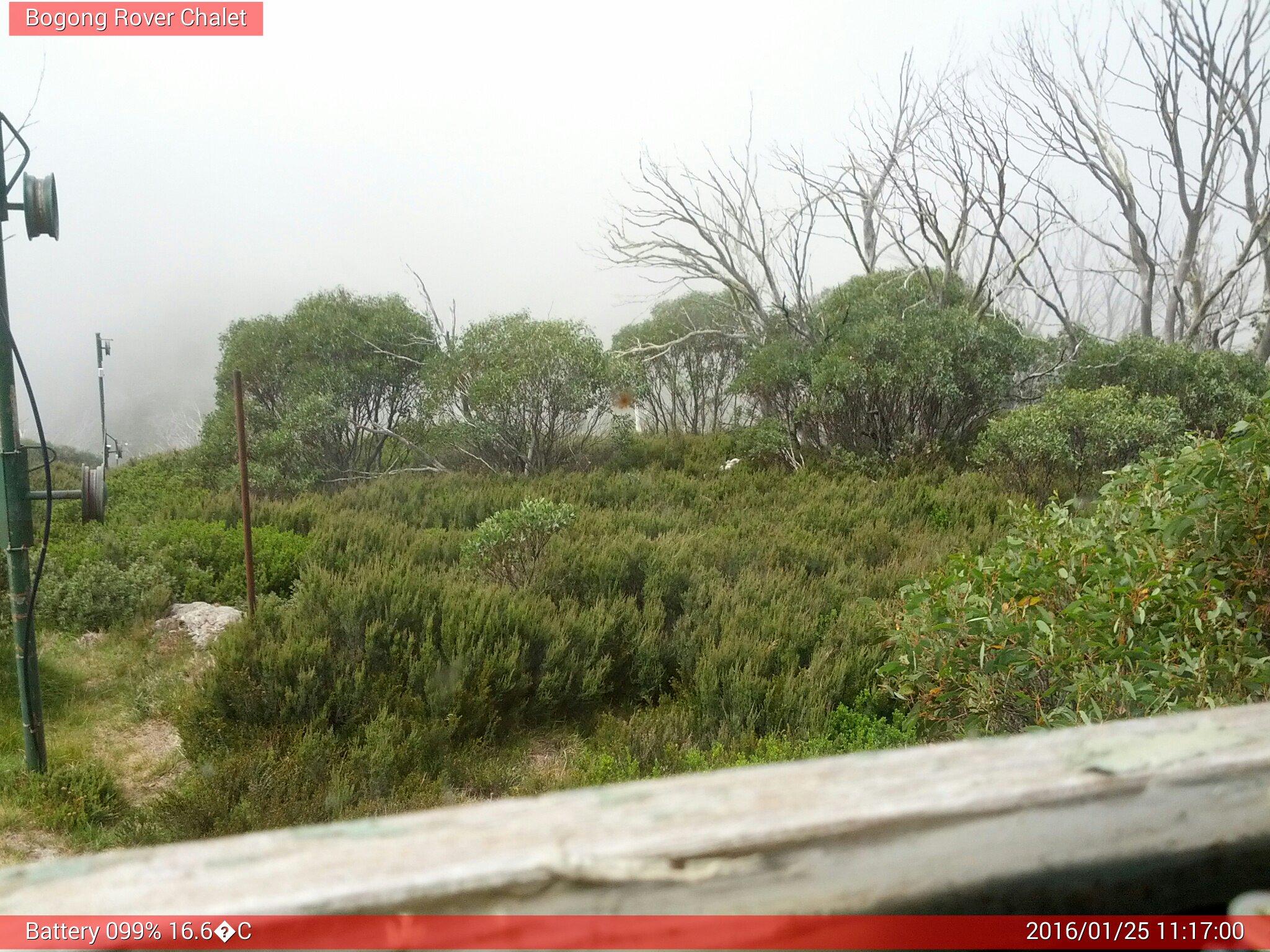 Bogong Web Cam 11:17am Monday 25th of January 2016