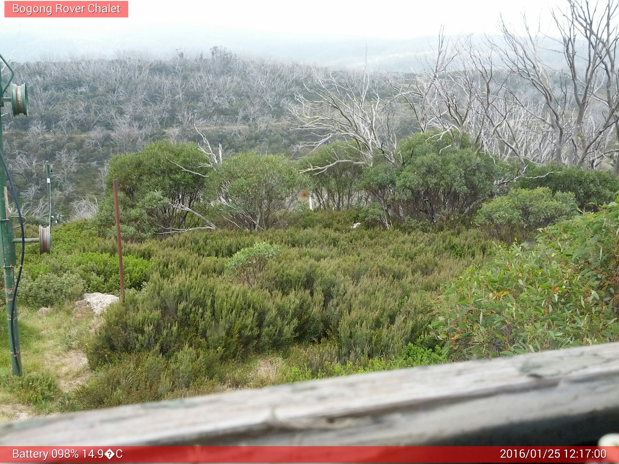 Bogong Web Cam 12:17pm Monday 25th of January 2016