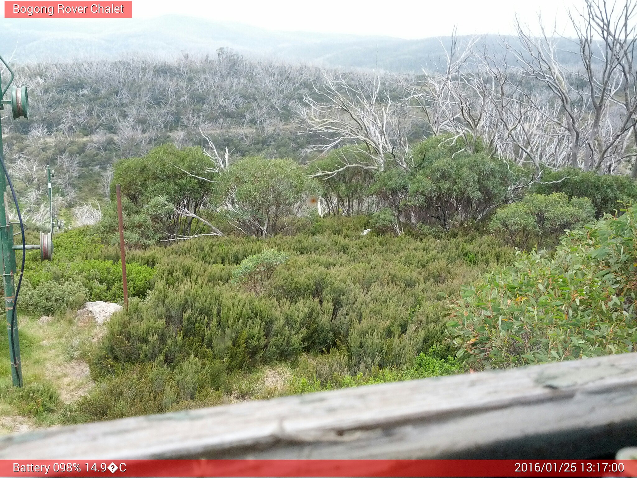 Bogong Web Cam 1:16pm Monday 25th of January 2016