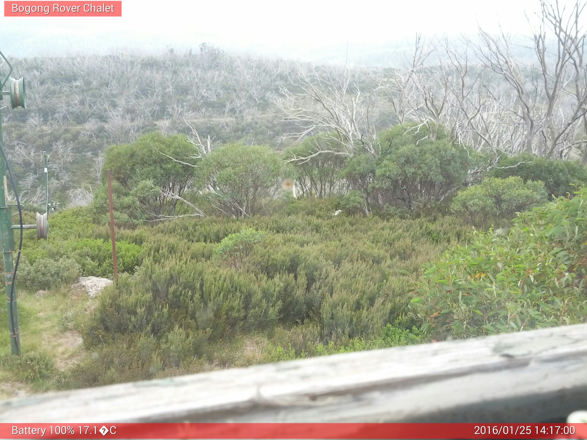 Bogong Web Cam 2:17pm Monday 25th of January 2016