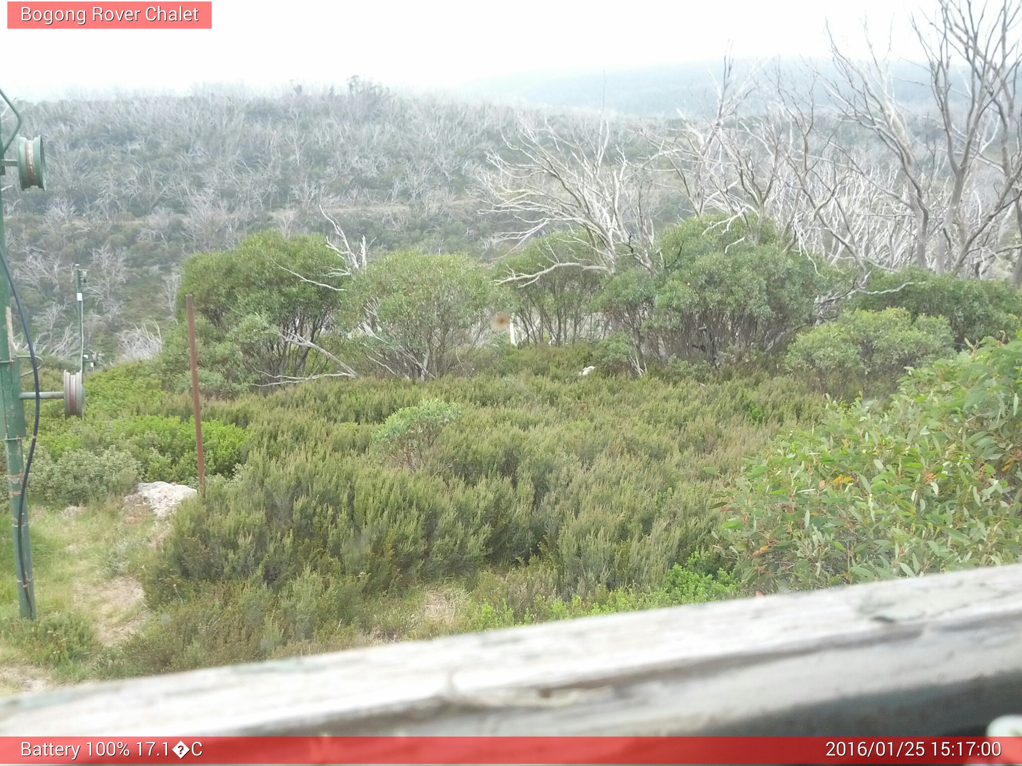 Bogong Web Cam 3:17pm Monday 25th of January 2016