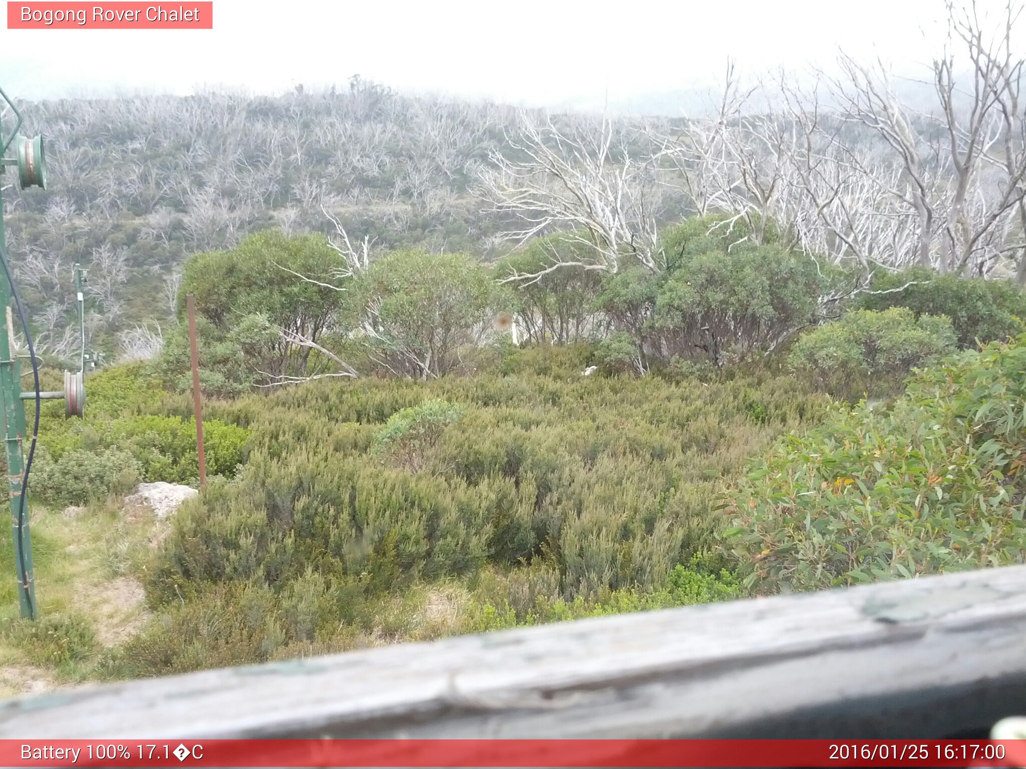 Bogong Web Cam 4:17pm Monday 25th of January 2016