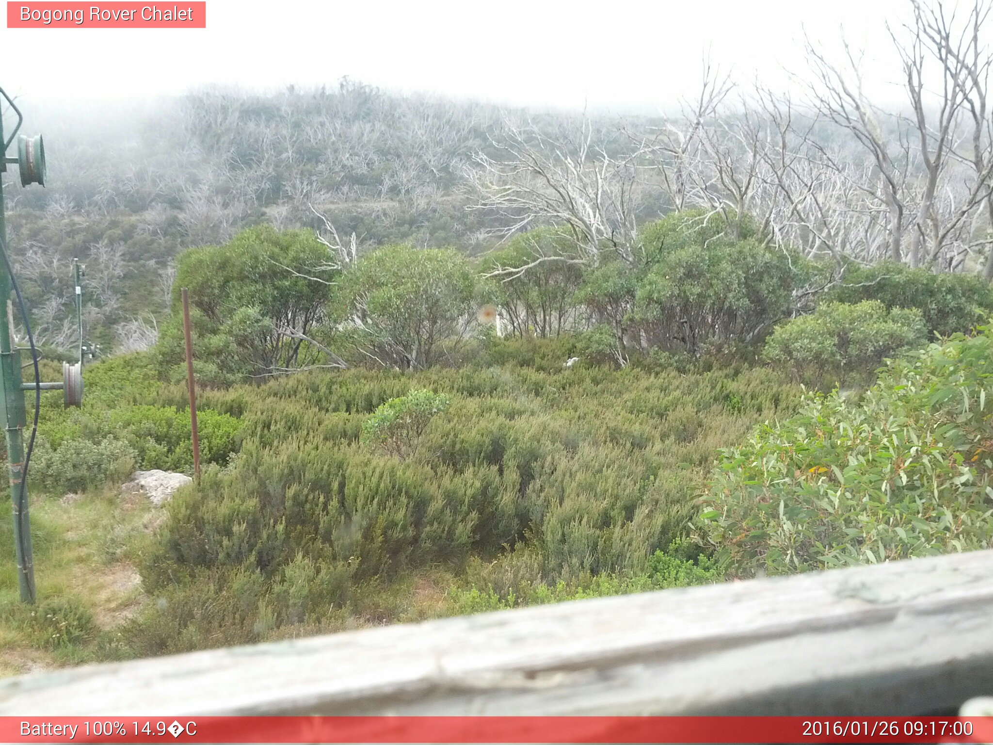 Bogong Web Cam 9:17am Tuesday 26th of January 2016