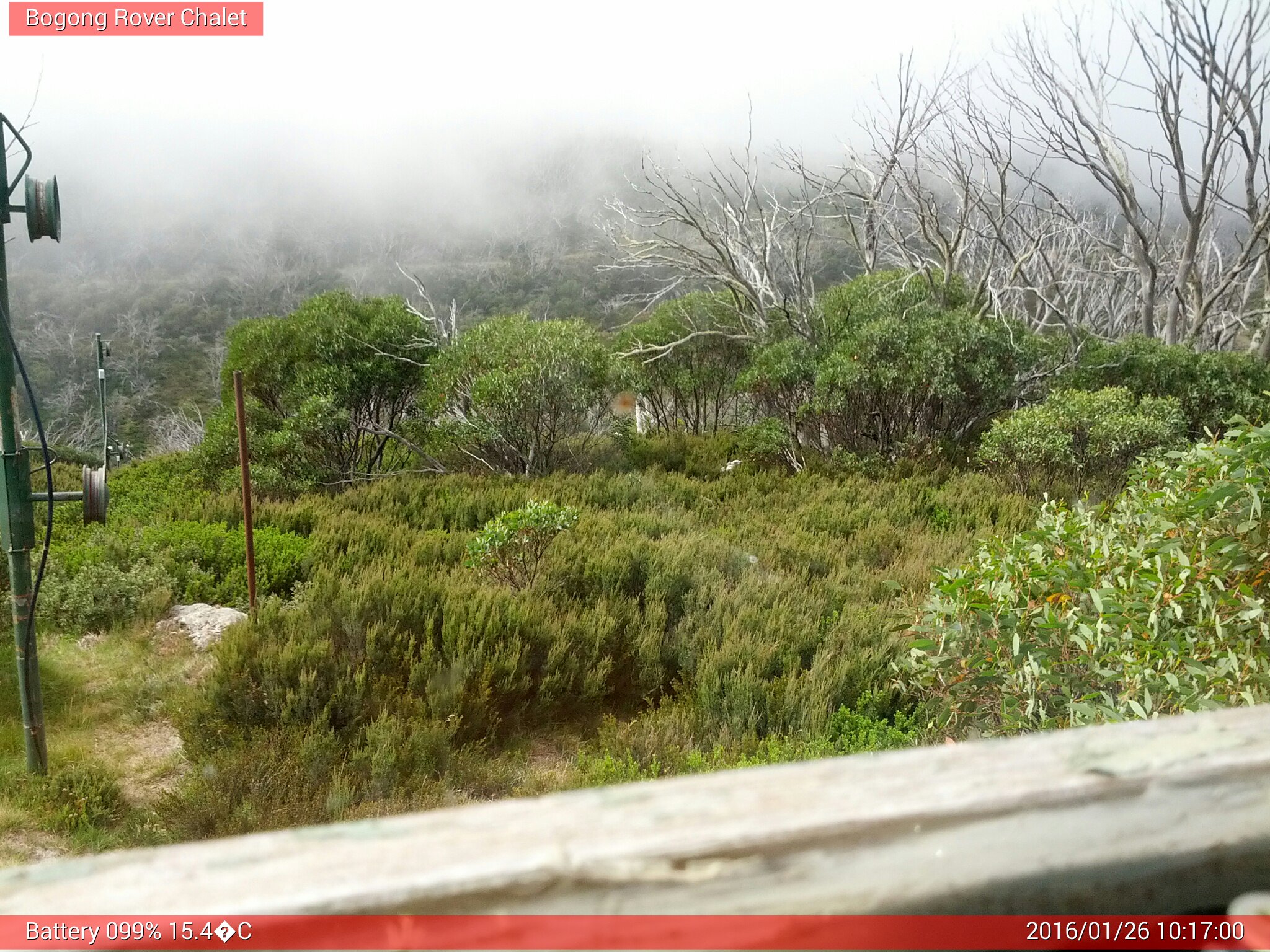 Bogong Web Cam 10:17am Tuesday 26th of January 2016