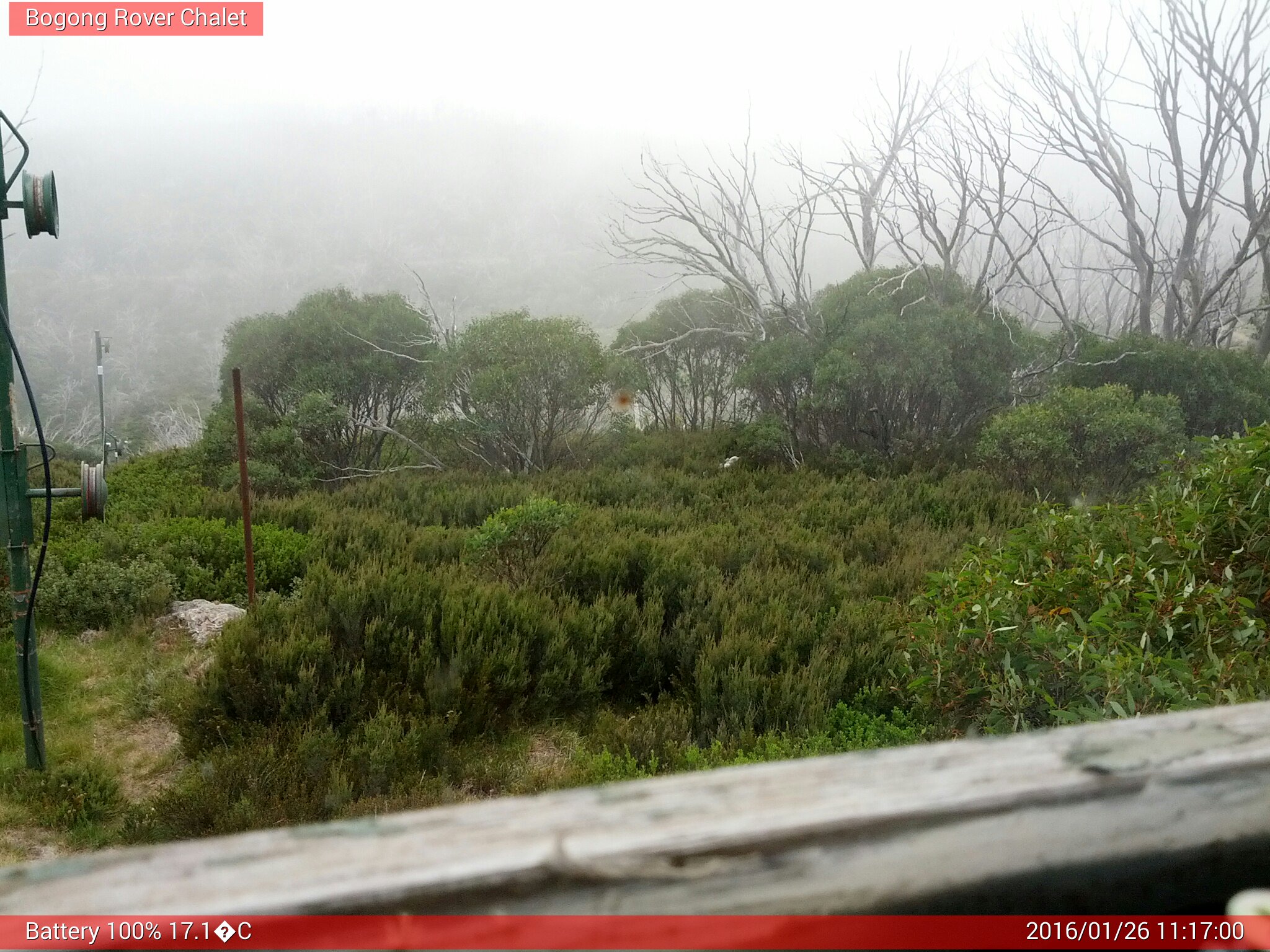 Bogong Web Cam 11:17am Tuesday 26th of January 2016