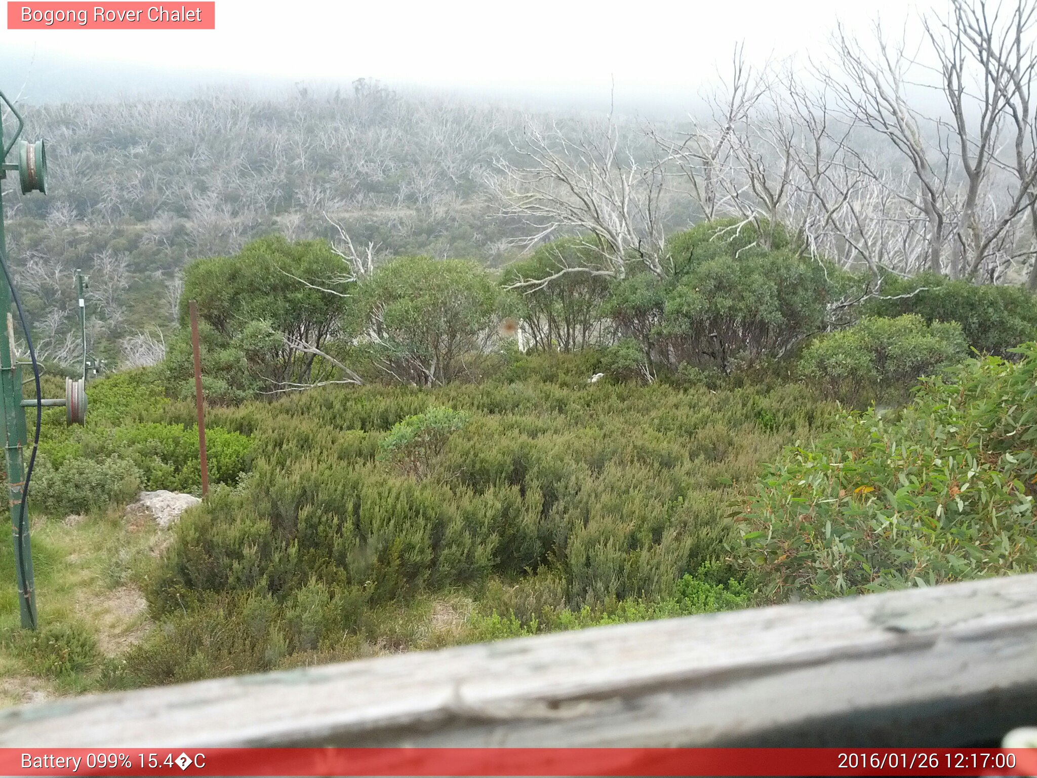 Bogong Web Cam 12:17pm Tuesday 26th of January 2016