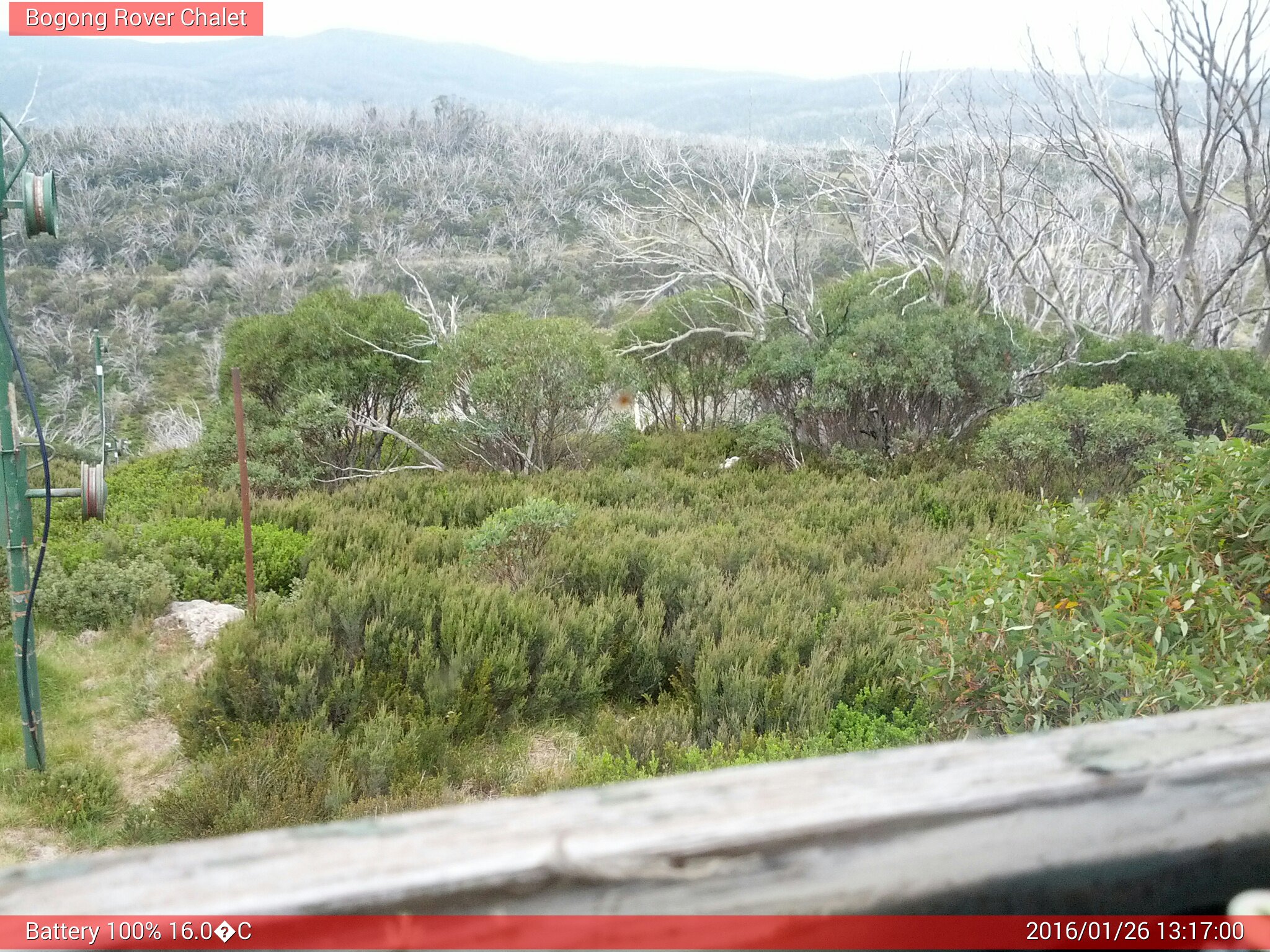 Bogong Web Cam 1:17pm Tuesday 26th of January 2016