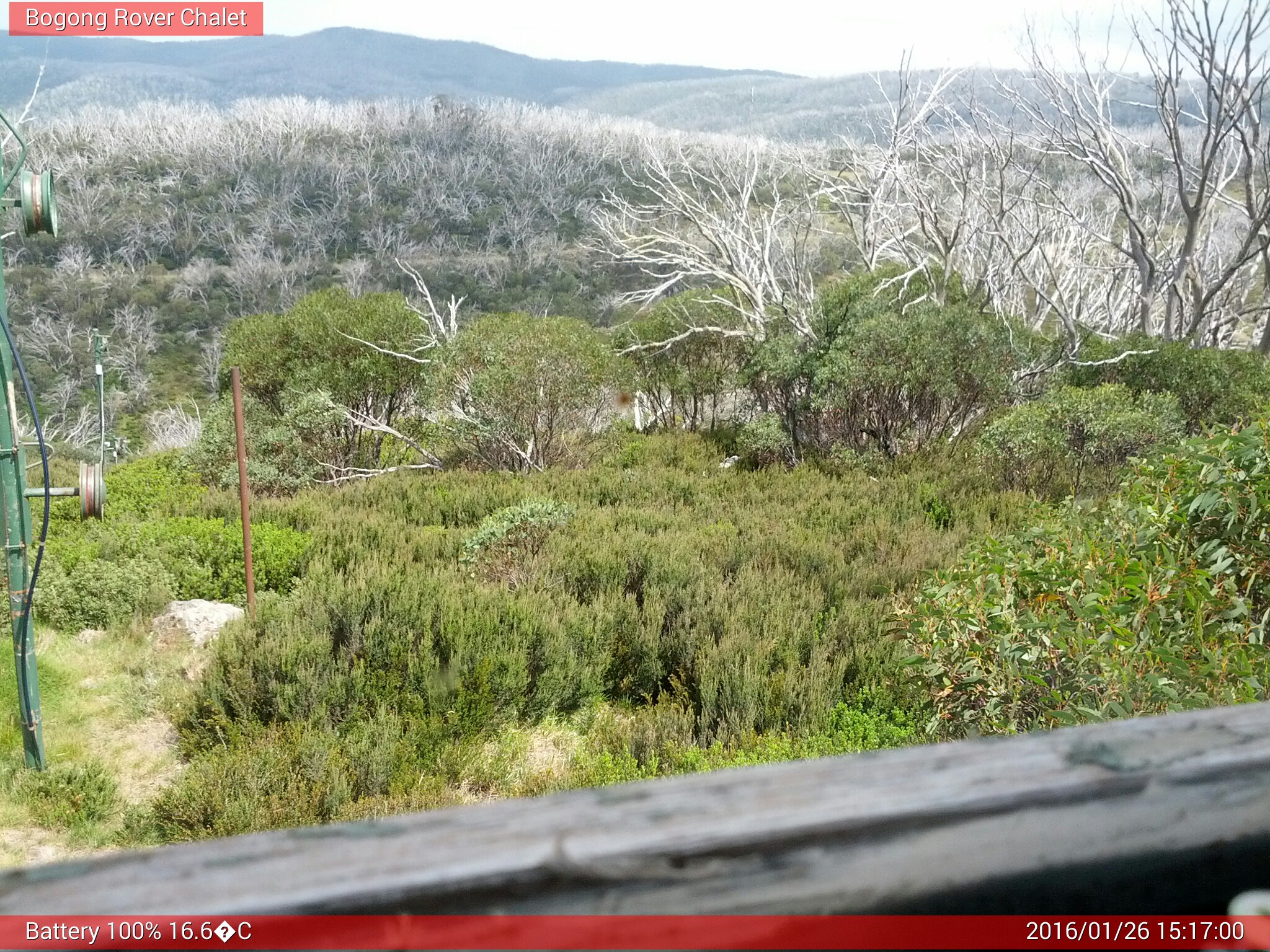 Bogong Web Cam 3:17pm Tuesday 26th of January 2016