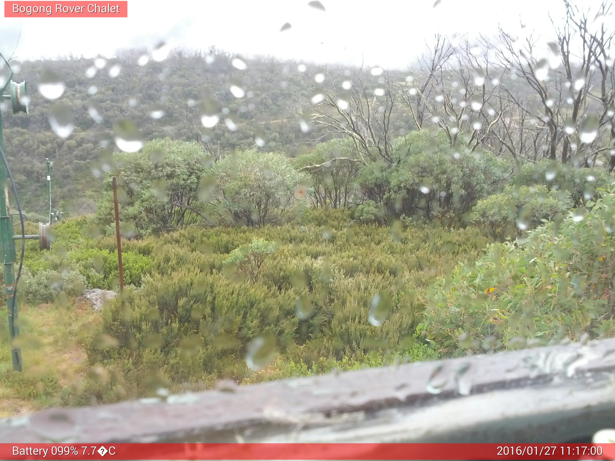 Bogong Web Cam 11:17am Wednesday 27th of January 2016