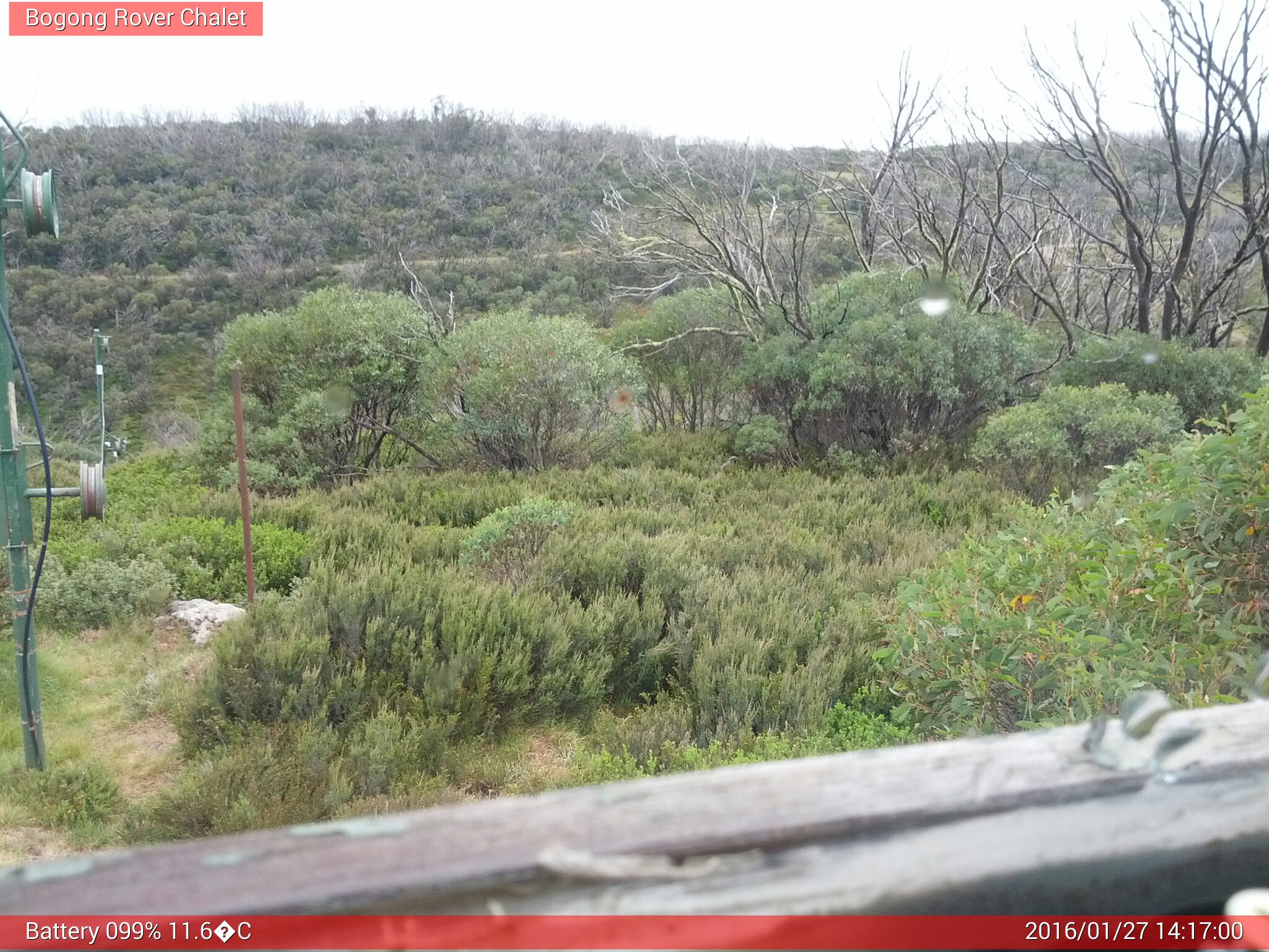 Bogong Web Cam 2:17pm Wednesday 27th of January 2016