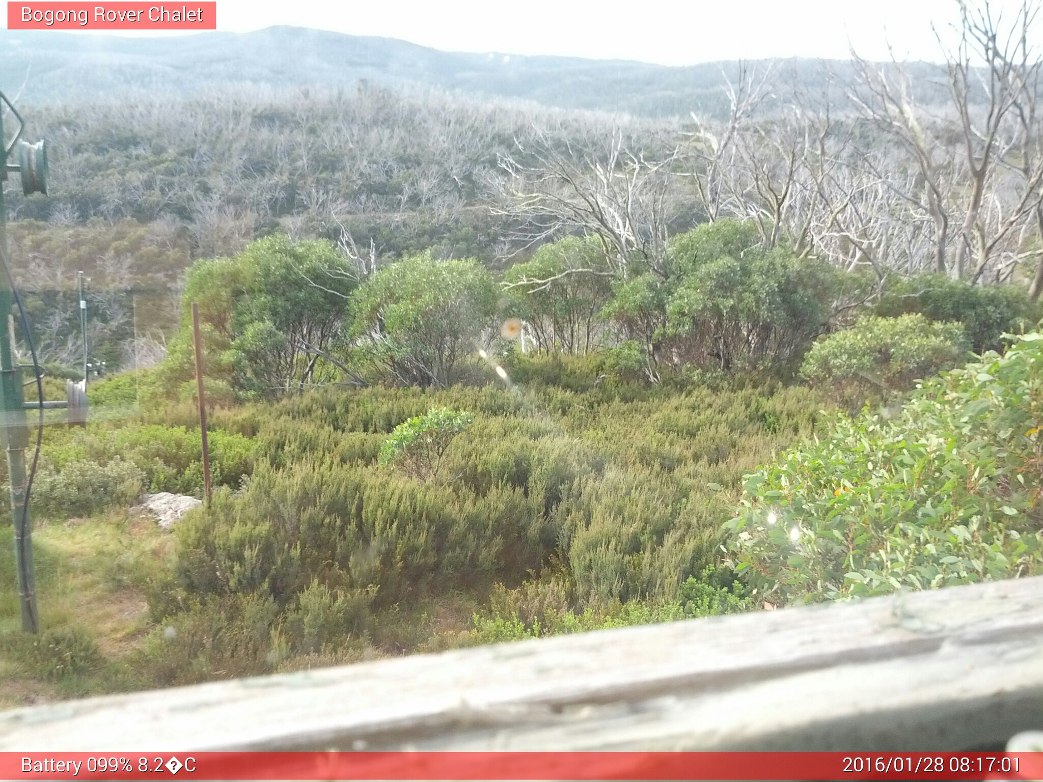 Bogong Web Cam 8:17am Thursday 28th of January 2016