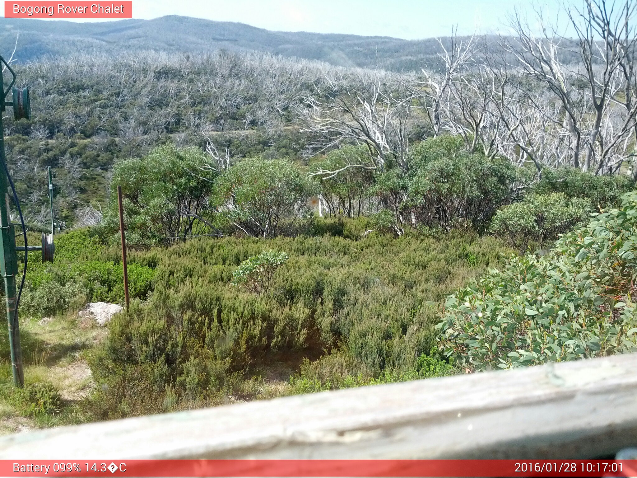 Bogong Web Cam 10:17am Thursday 28th of January 2016