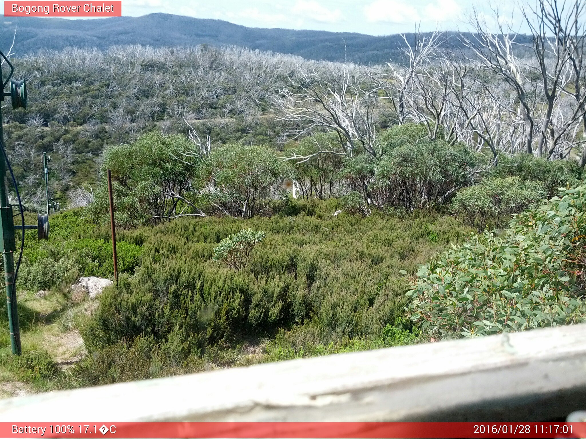 Bogong Web Cam 11:17am Thursday 28th of January 2016