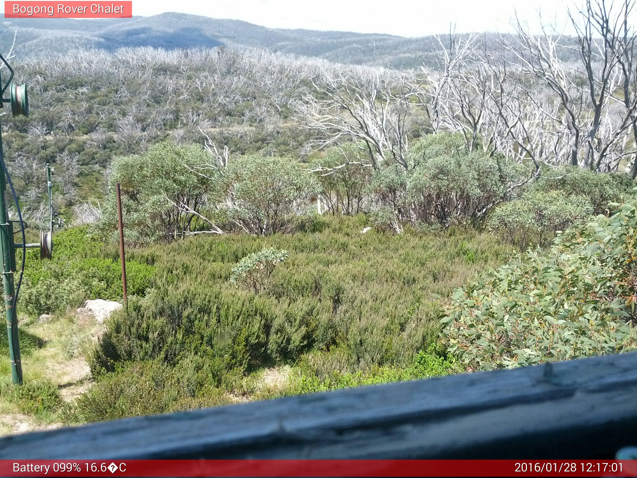 Bogong Web Cam 12:17pm Thursday 28th of January 2016