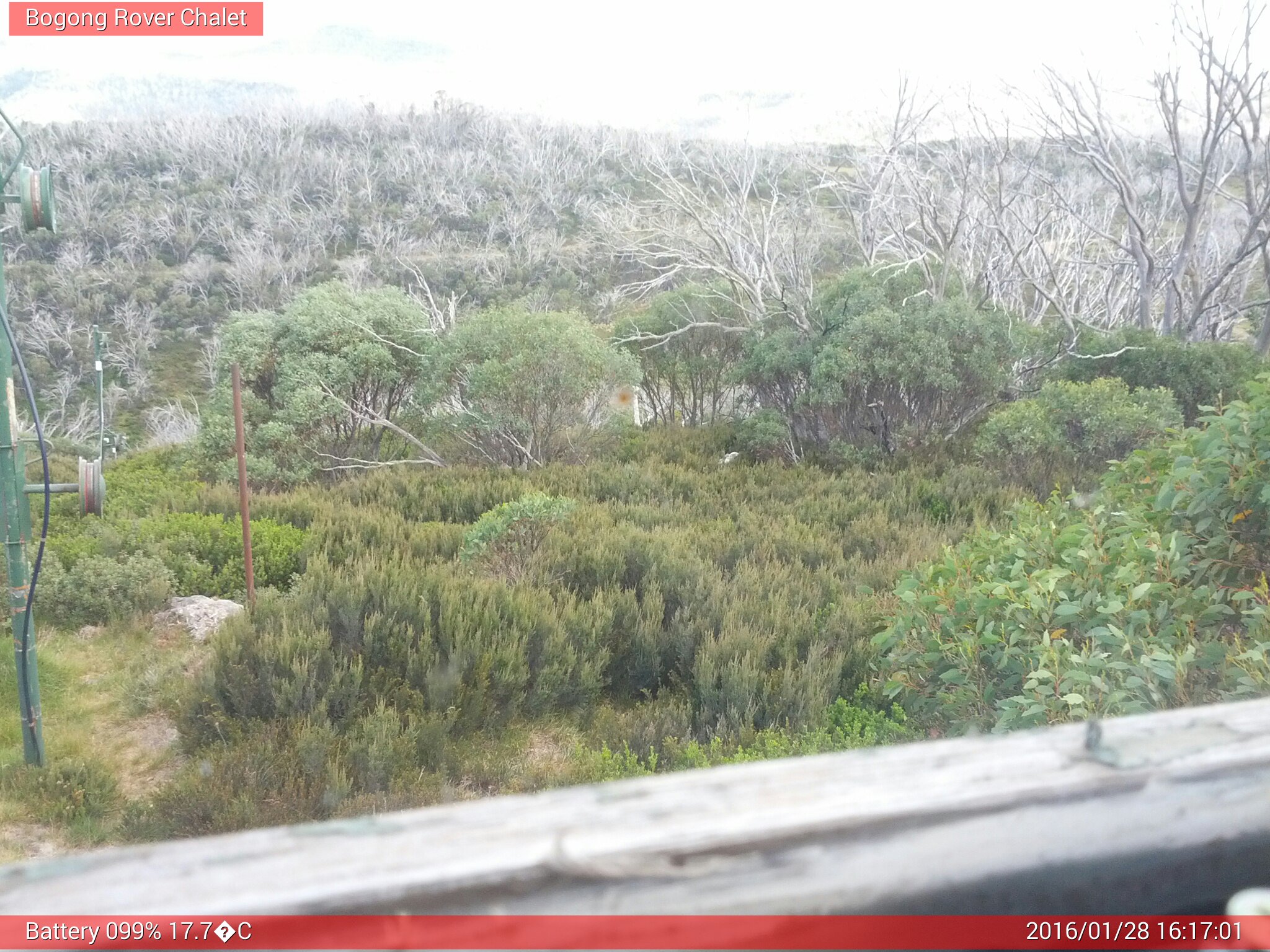 Bogong Web Cam 4:17pm Thursday 28th of January 2016