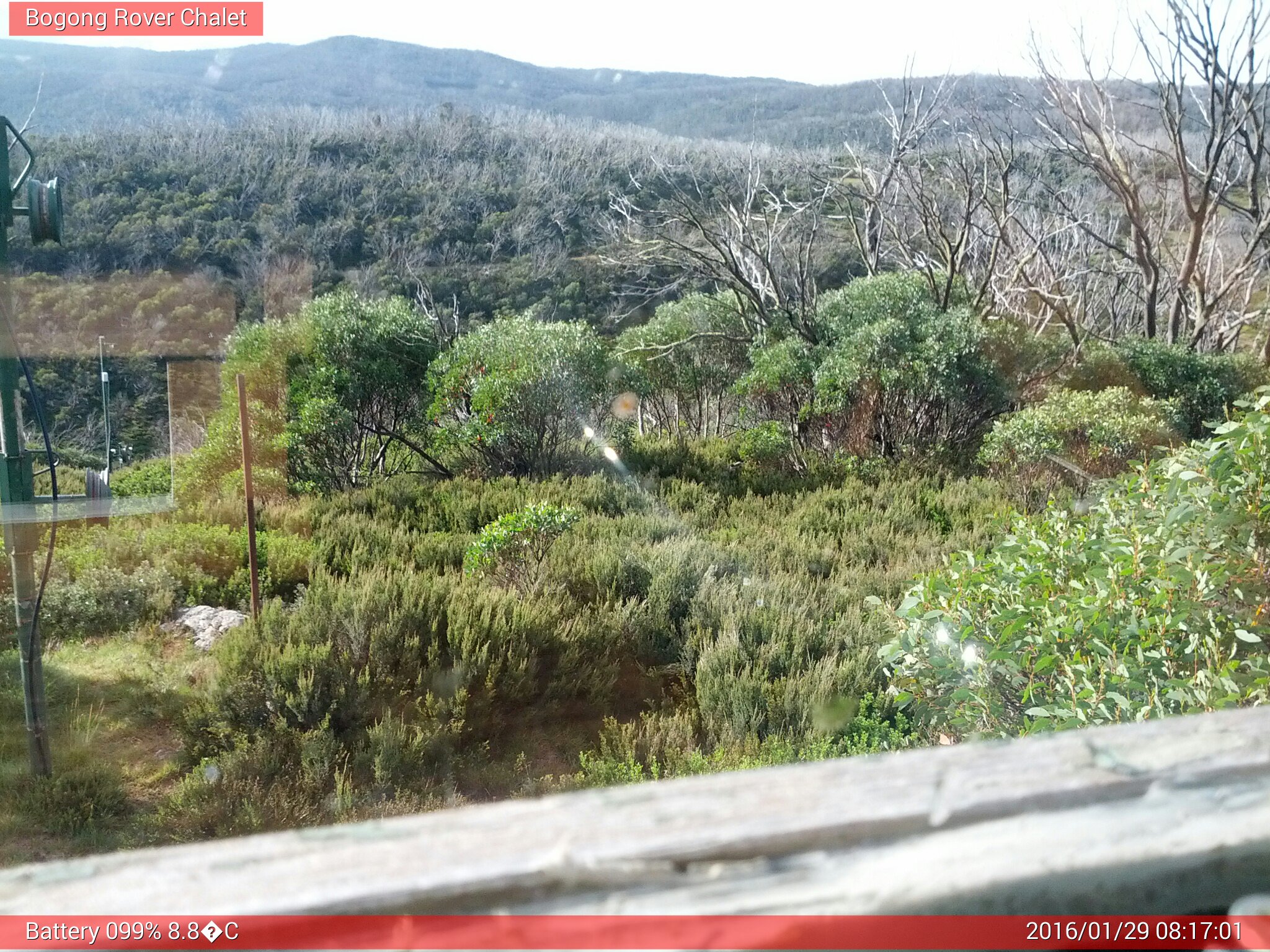 Bogong Web Cam 8:17am Friday 29th of January 2016