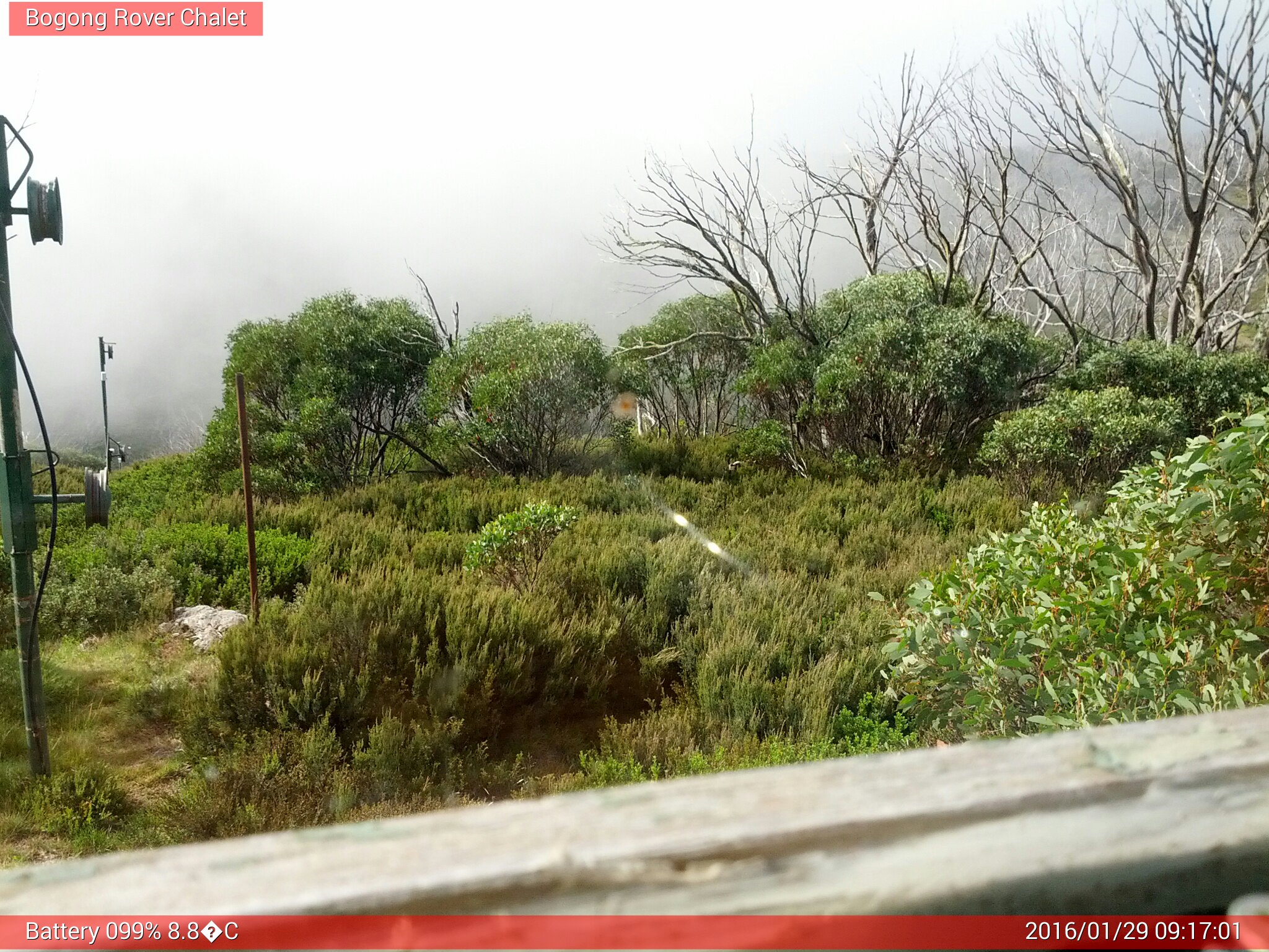 Bogong Web Cam 9:17am Friday 29th of January 2016