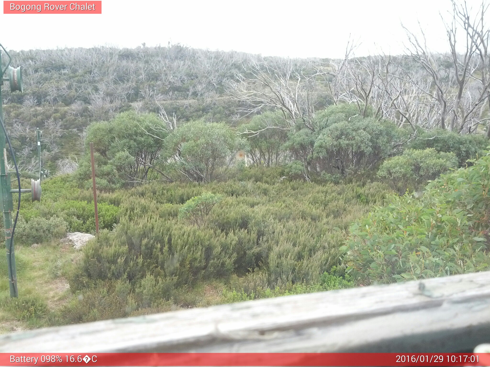 Bogong Web Cam 10:17am Friday 29th of January 2016