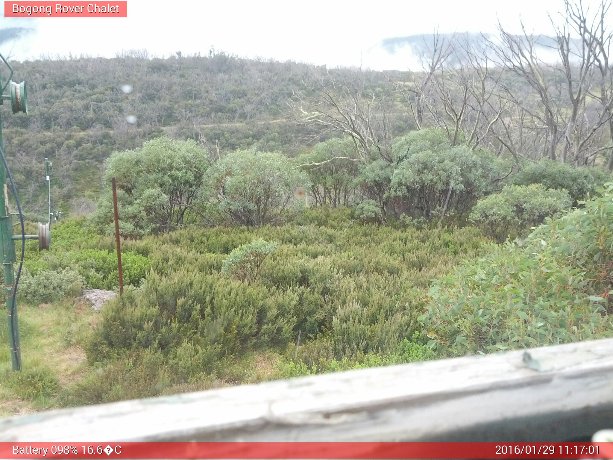 Bogong Web Cam 11:17am Friday 29th of January 2016