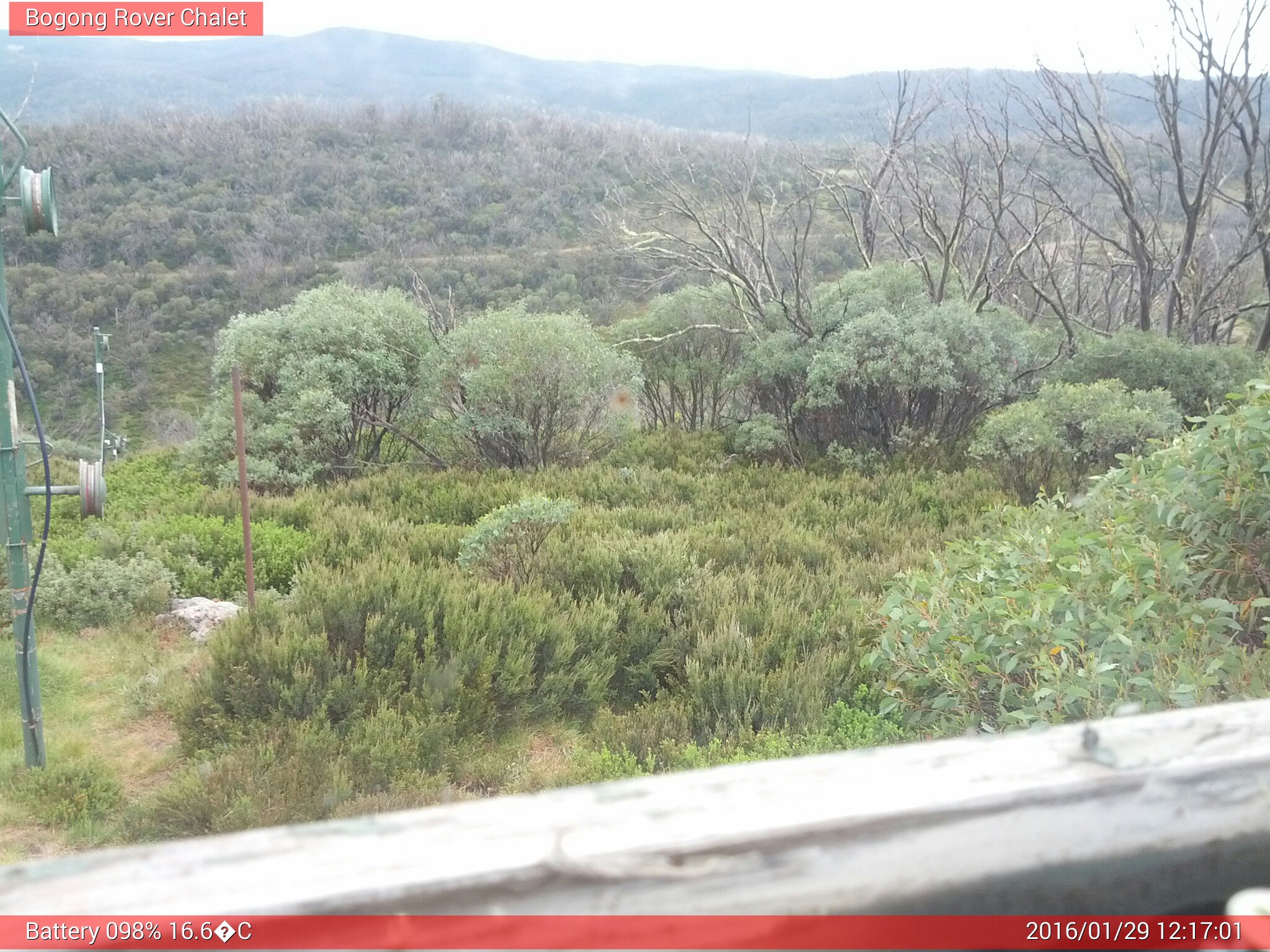 Bogong Web Cam 12:17pm Friday 29th of January 2016