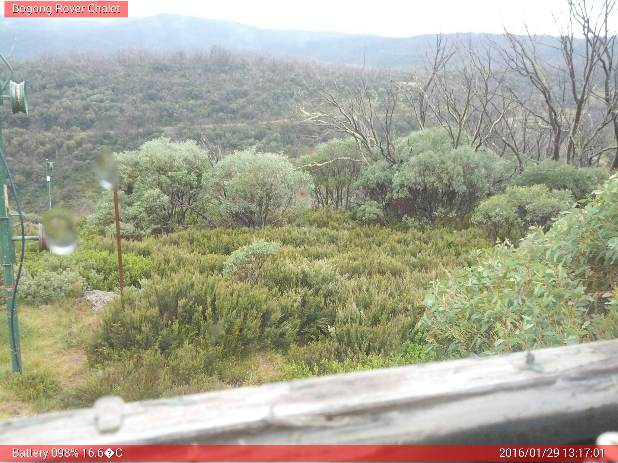 Bogong Web Cam 1:17pm Friday 29th of January 2016