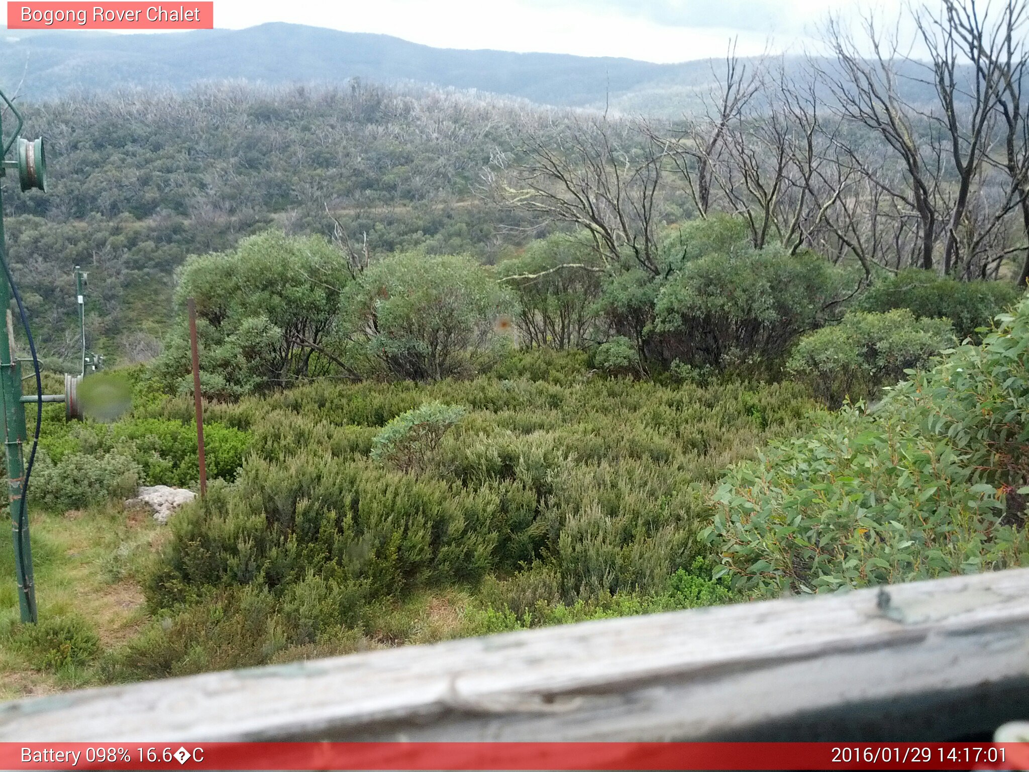 Bogong Web Cam 2:17pm Friday 29th of January 2016