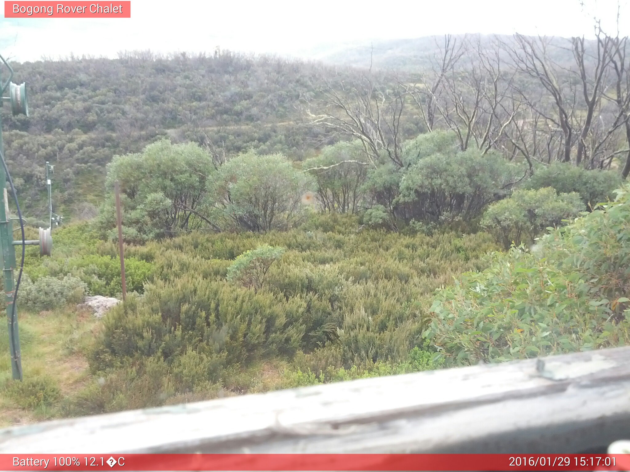 Bogong Web Cam 3:17pm Friday 29th of January 2016