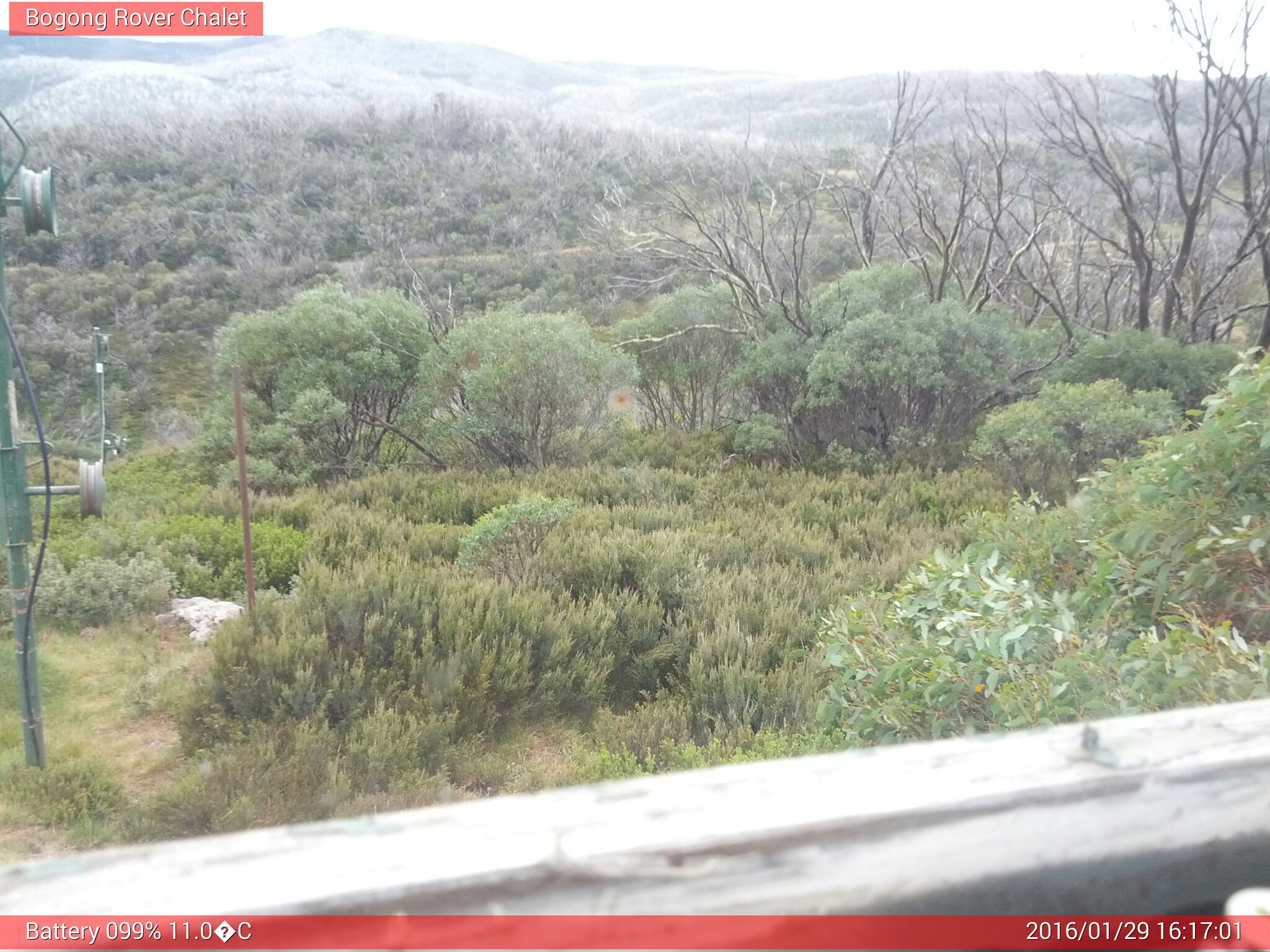 Bogong Web Cam 4:17pm Friday 29th of January 2016