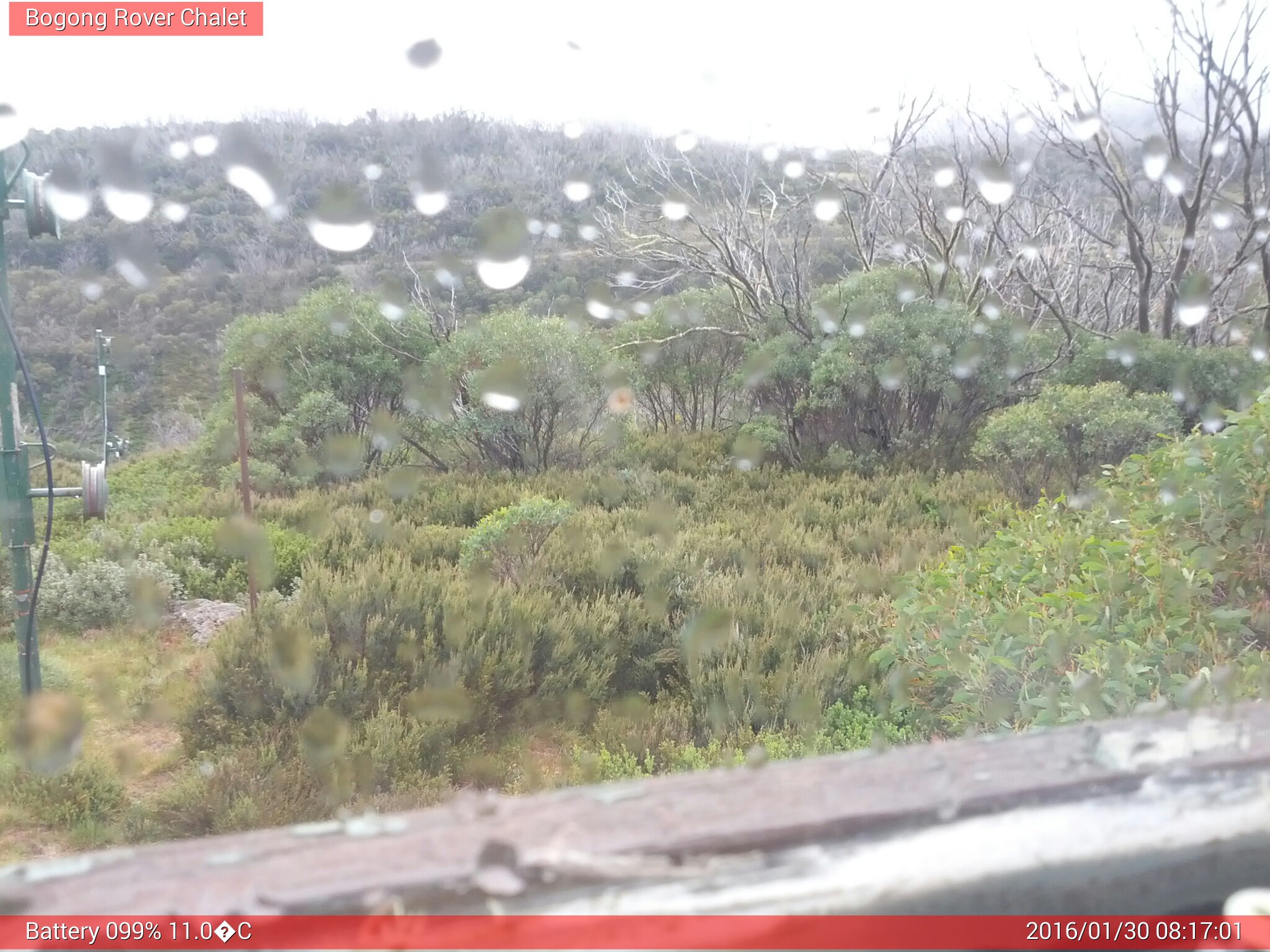 Bogong Web Cam 8:17am Saturday 30th of January 2016