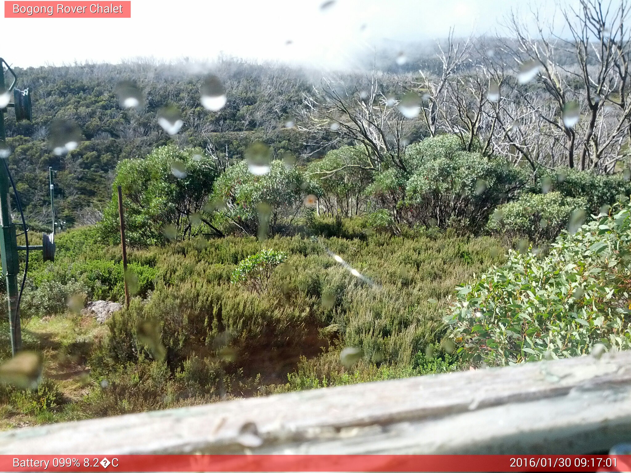 Bogong Web Cam 9:17am Saturday 30th of January 2016