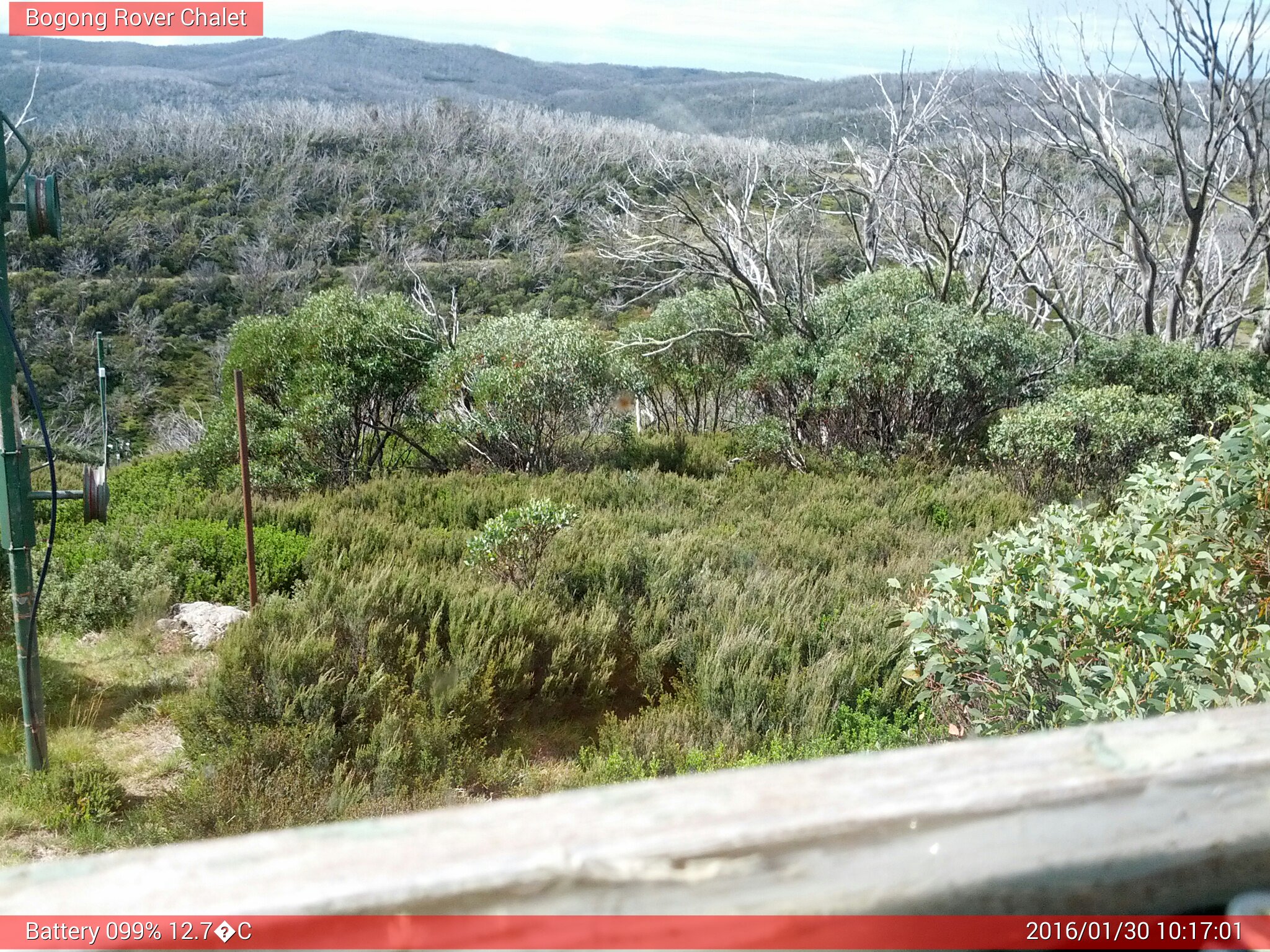 Bogong Web Cam 10:17am Saturday 30th of January 2016