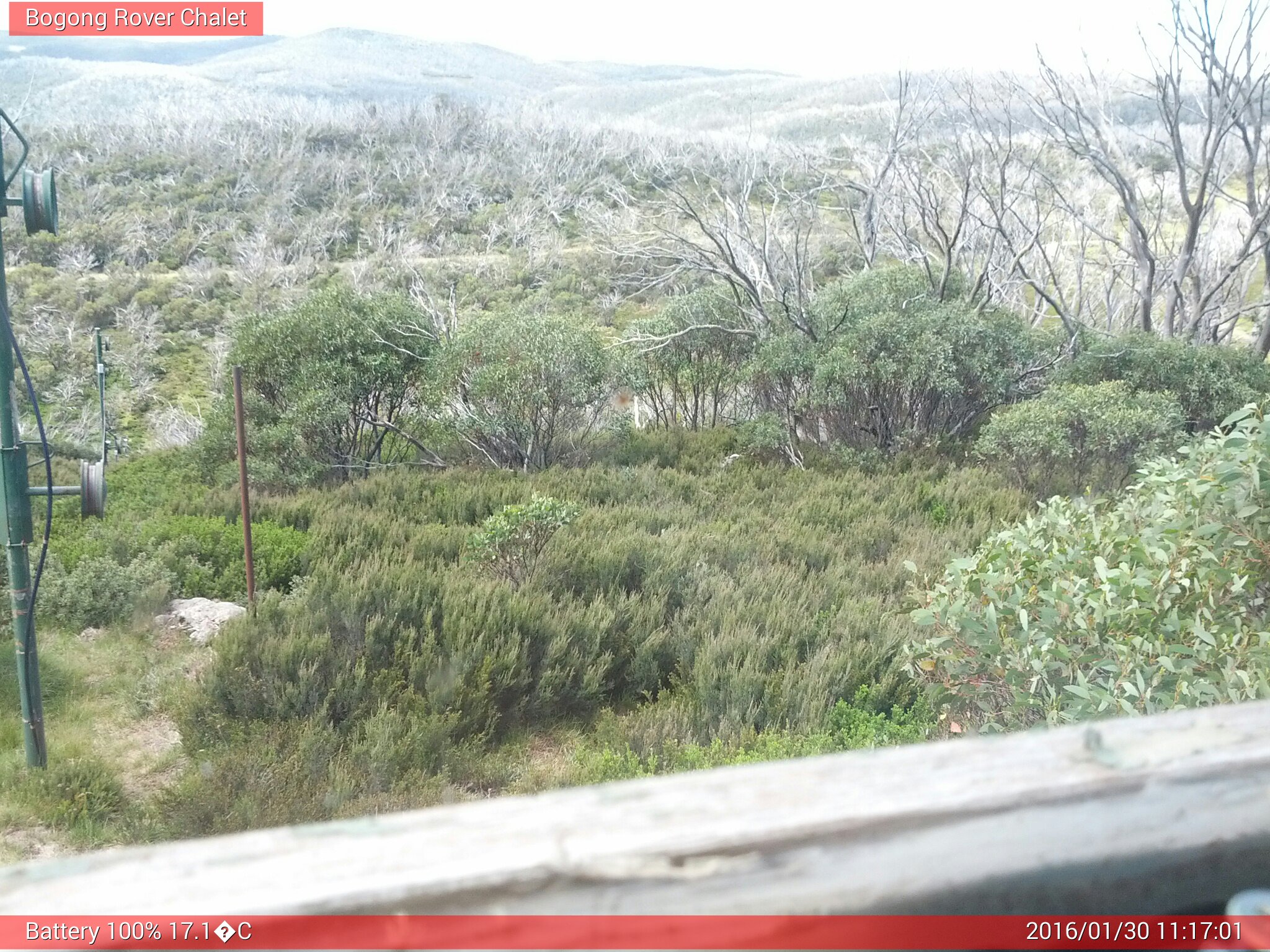 Bogong Web Cam 11:17am Saturday 30th of January 2016