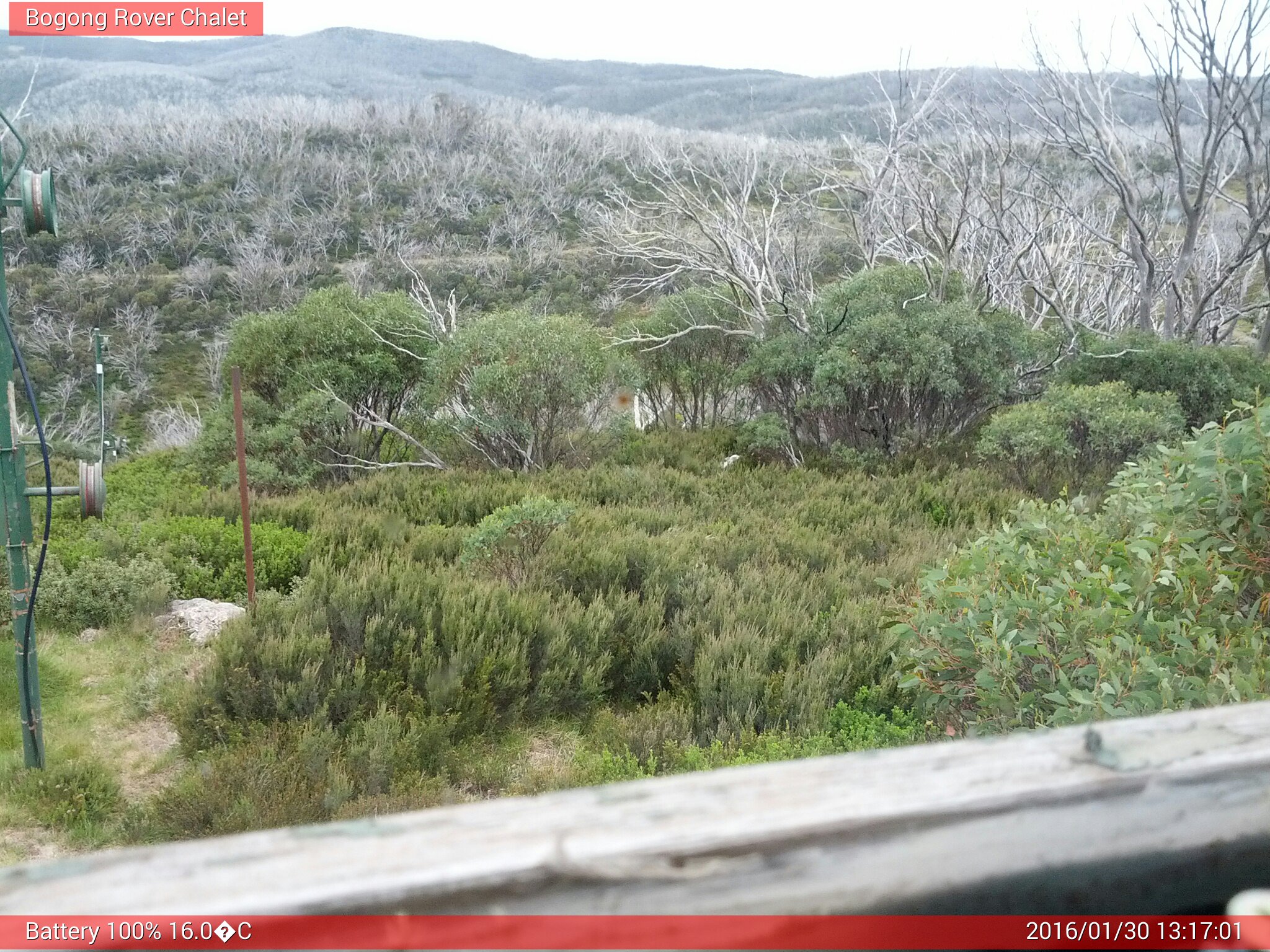 Bogong Web Cam 1:17pm Saturday 30th of January 2016