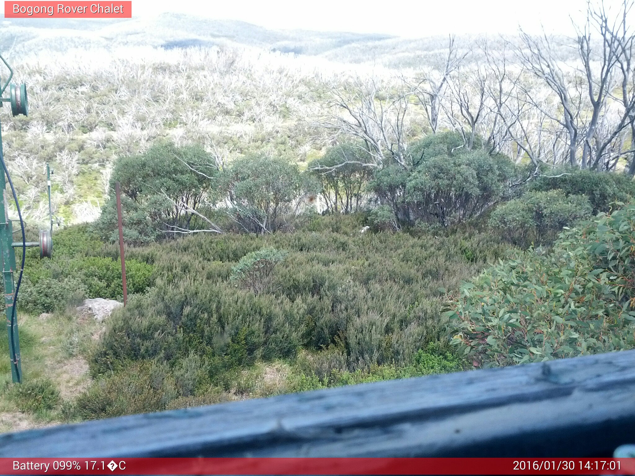 Bogong Web Cam 2:17pm Saturday 30th of January 2016