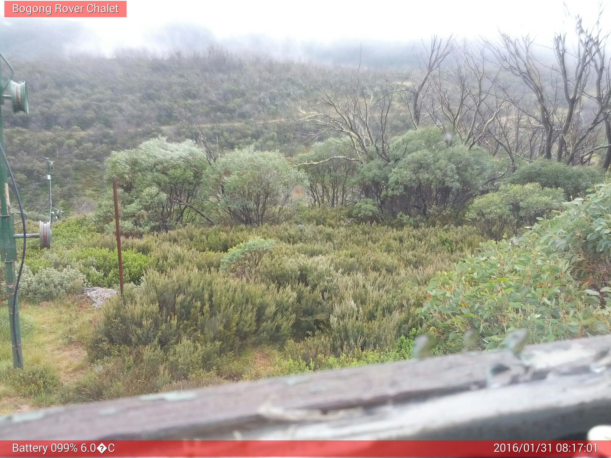 Bogong Web Cam 8:17am Sunday 31st of January 2016