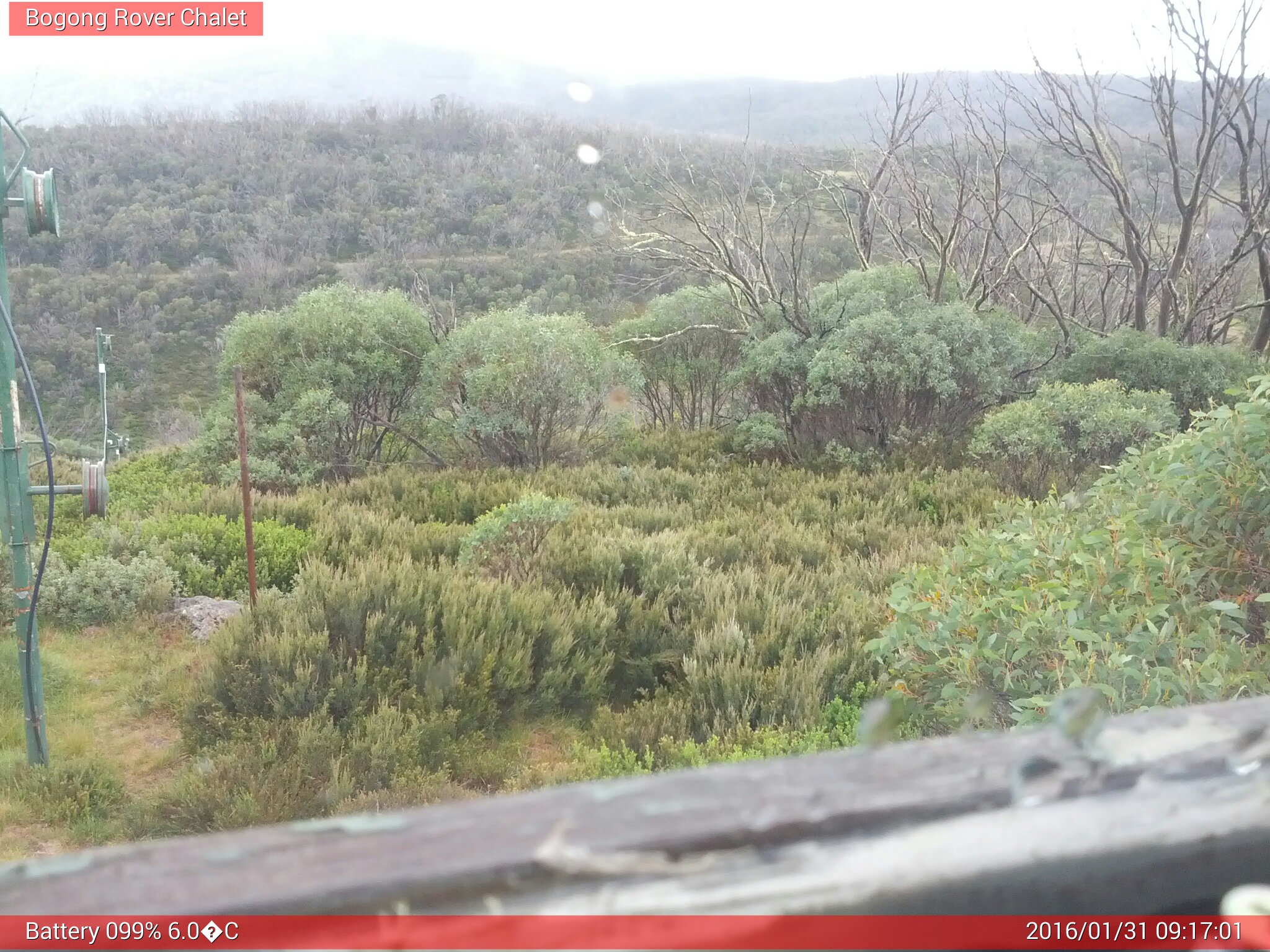 Bogong Web Cam 9:17am Sunday 31st of January 2016