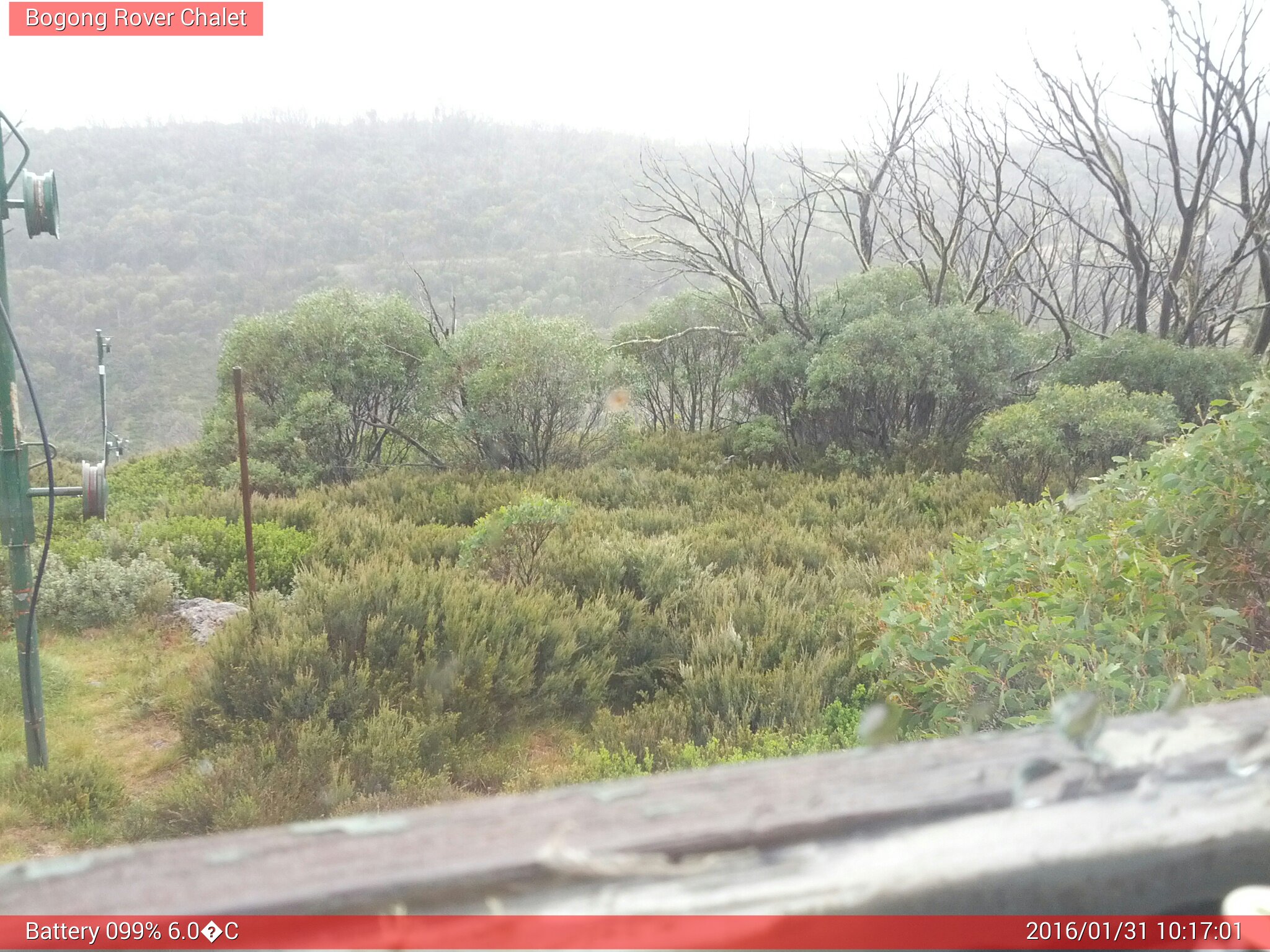 Bogong Web Cam 10:17am Sunday 31st of January 2016